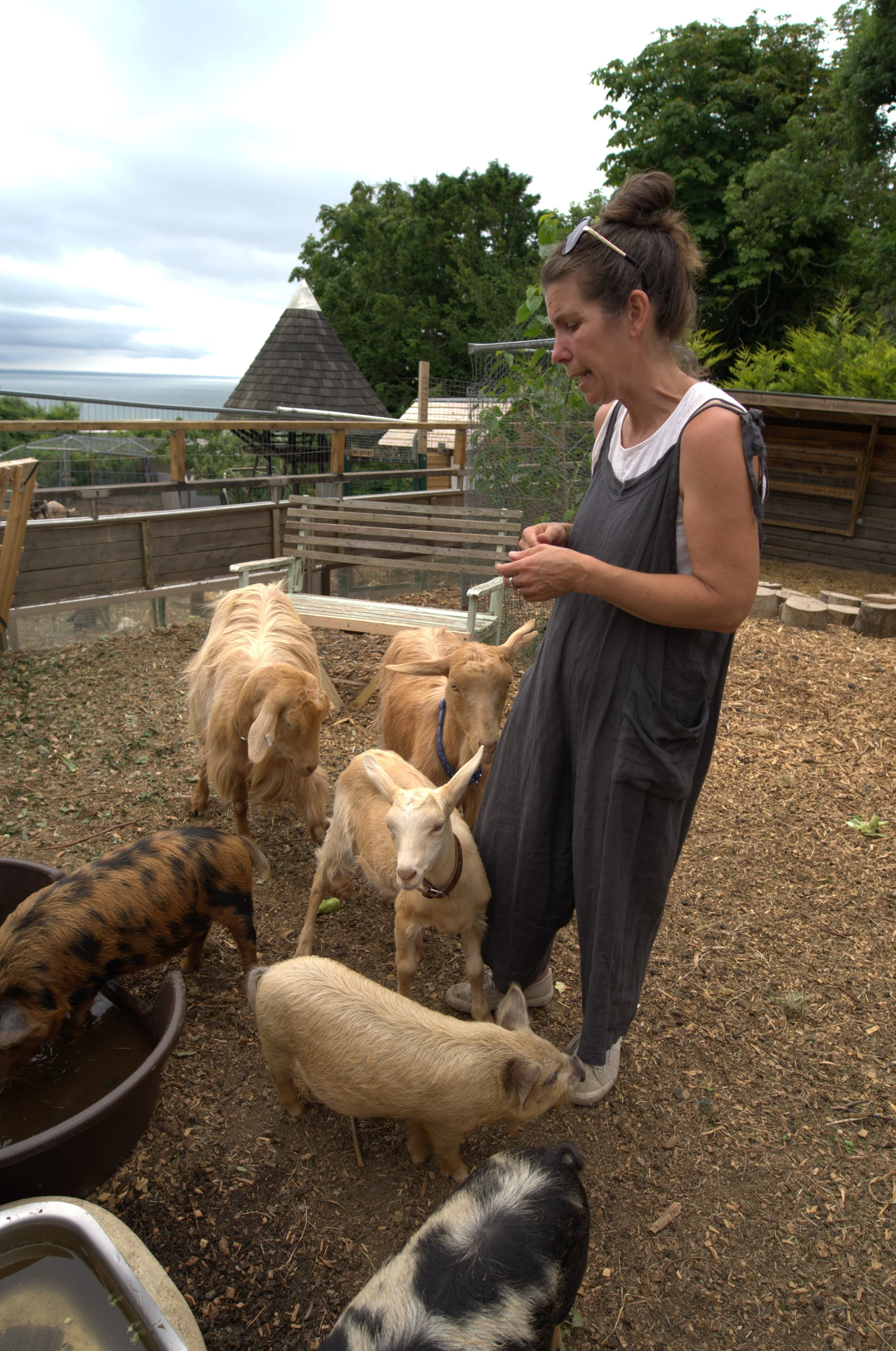 Permaculture Island Open Day