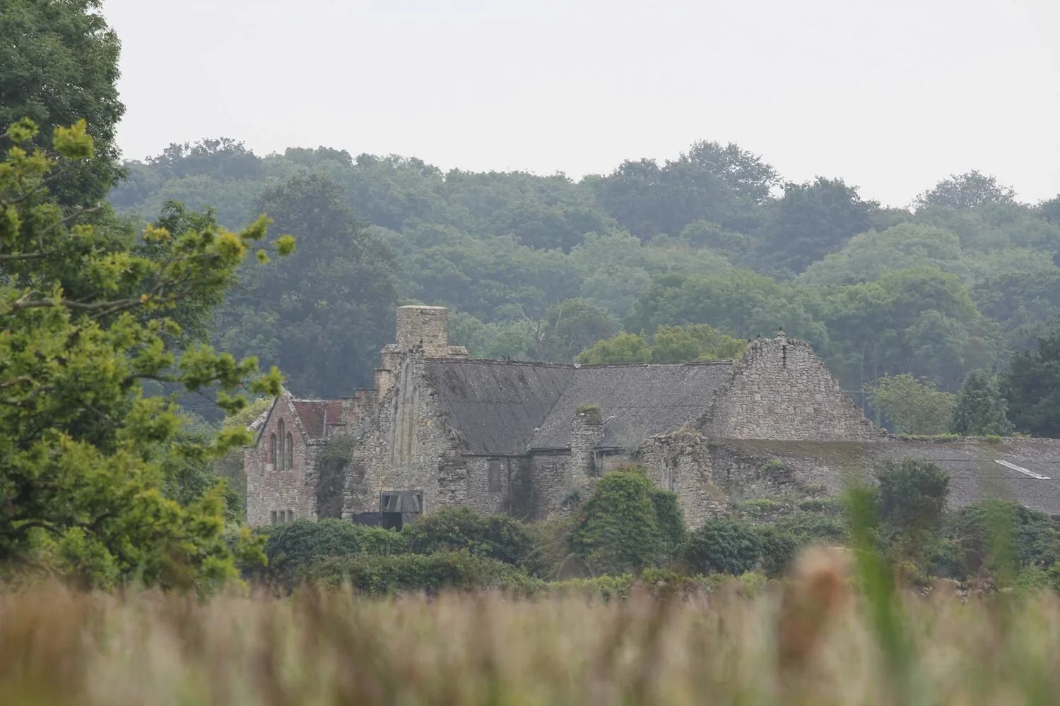 Historic “Old Quarr” Walk