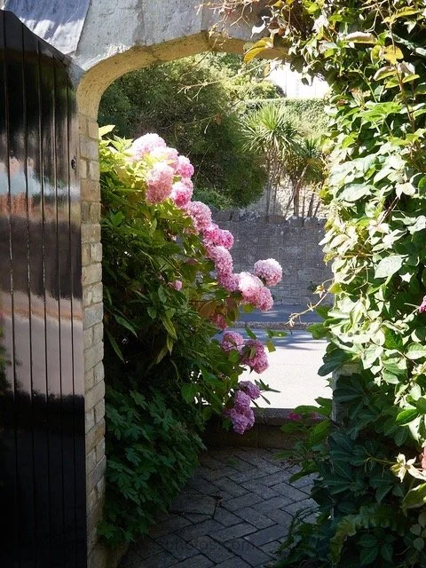 Bonchurch Open Gardens