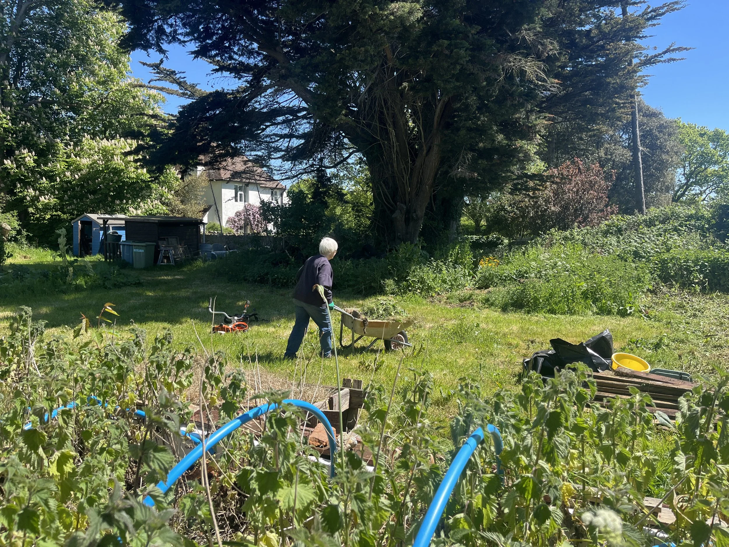 Quarr Abbey Community Garden drop-in