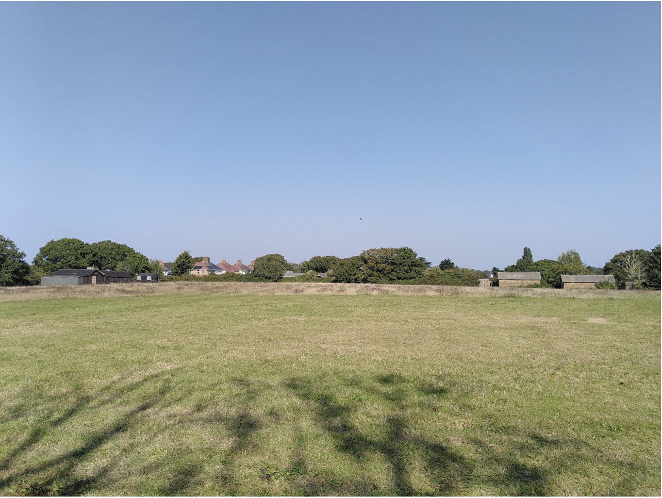 The Haven Community Picnic