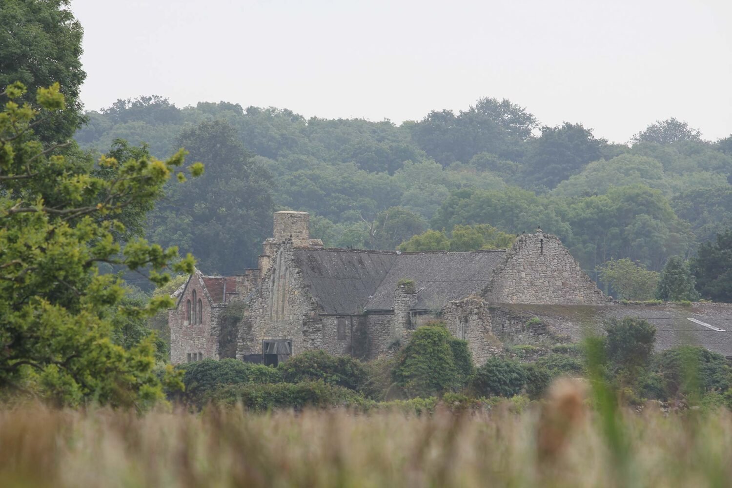 Historic “Old Quarr” walk