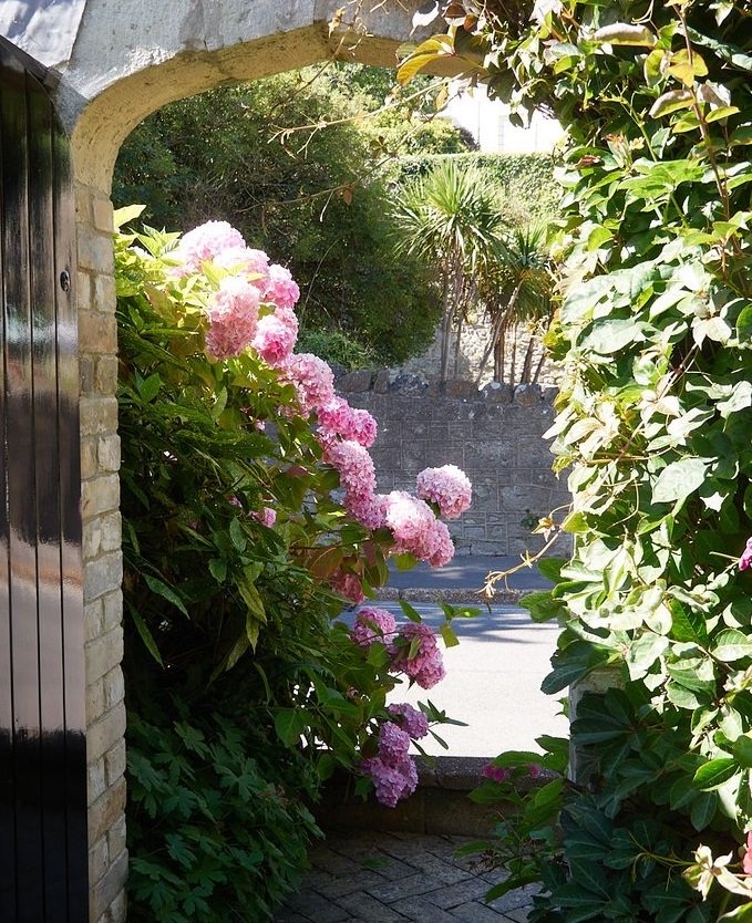 Bonchurch Open Gardens