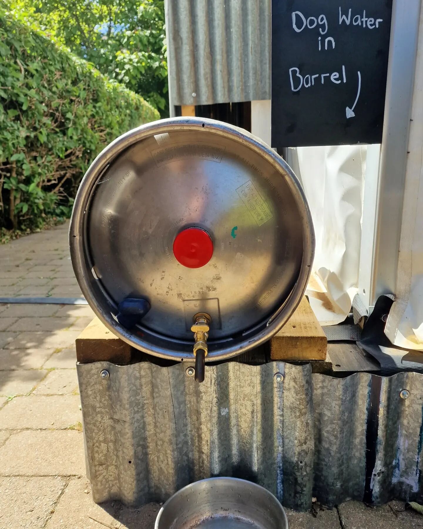 Our new doggy water barrel! 🐶🛢

All ready to go! 

Definitely needed on a day like today ☀️

#mansbestfriend🐶 #diy #keepingcool