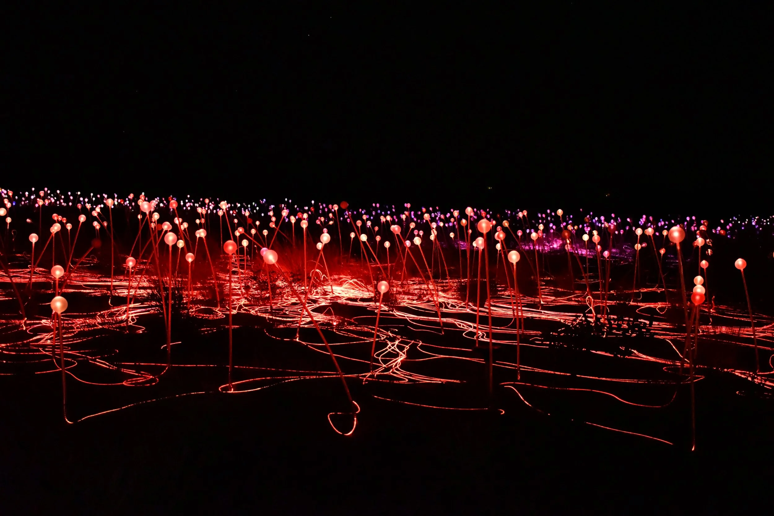 Field of lights - Uluru