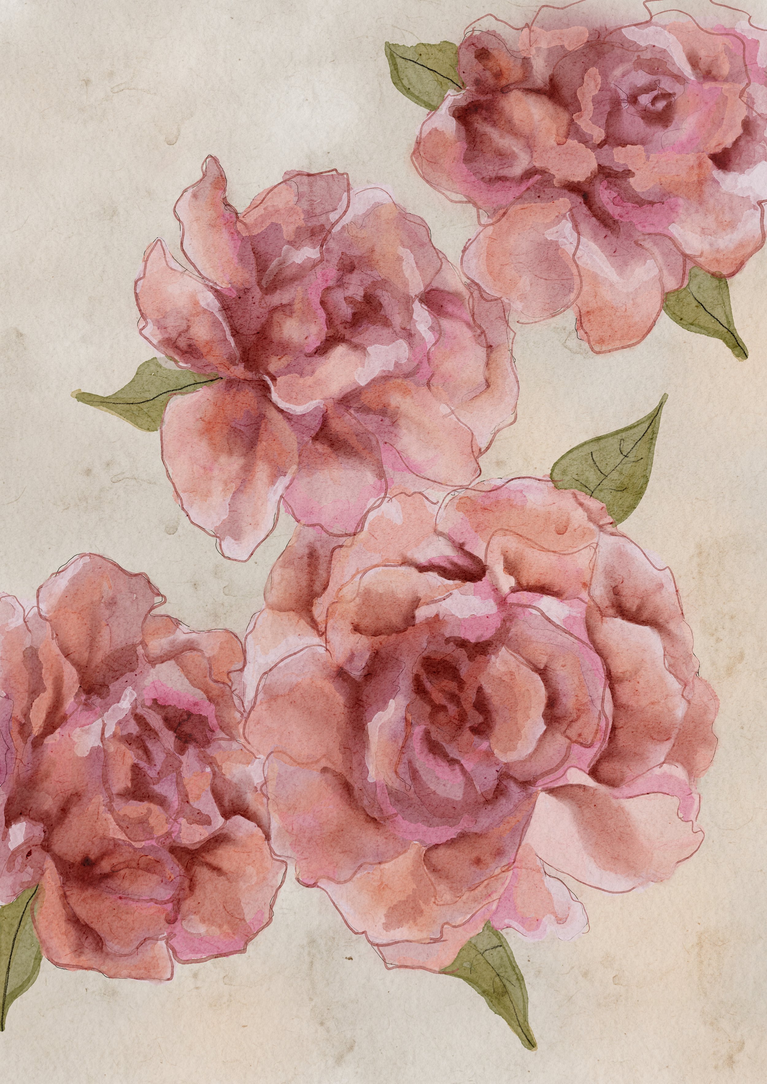 Digital Painting for garden roses by Nicola Robson of Dittany Entwined floral design