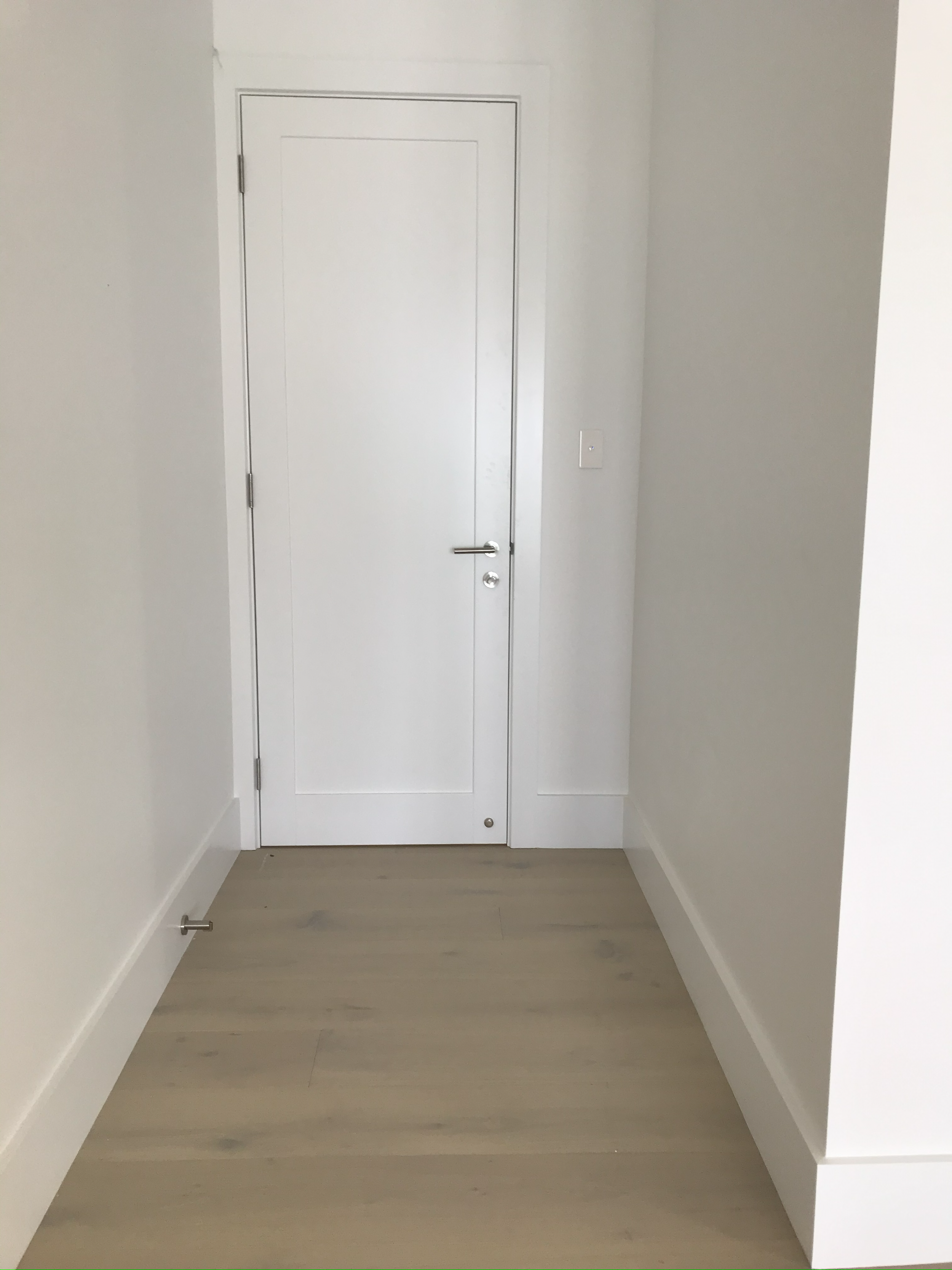 Empty white door with a silver handle, on a white wall in a minimalist room with light wood flooring and baseboards.