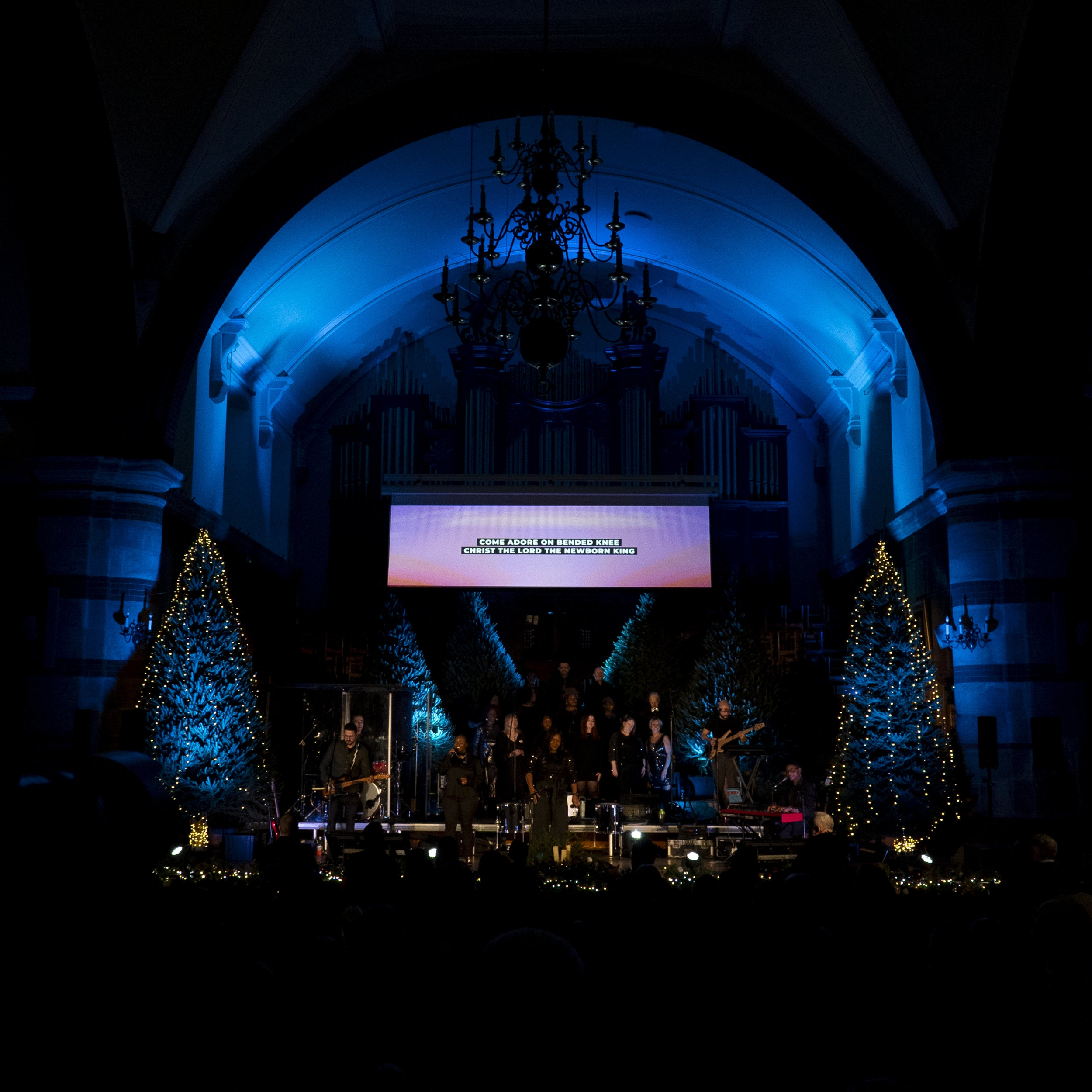 Carols 2025_10.png