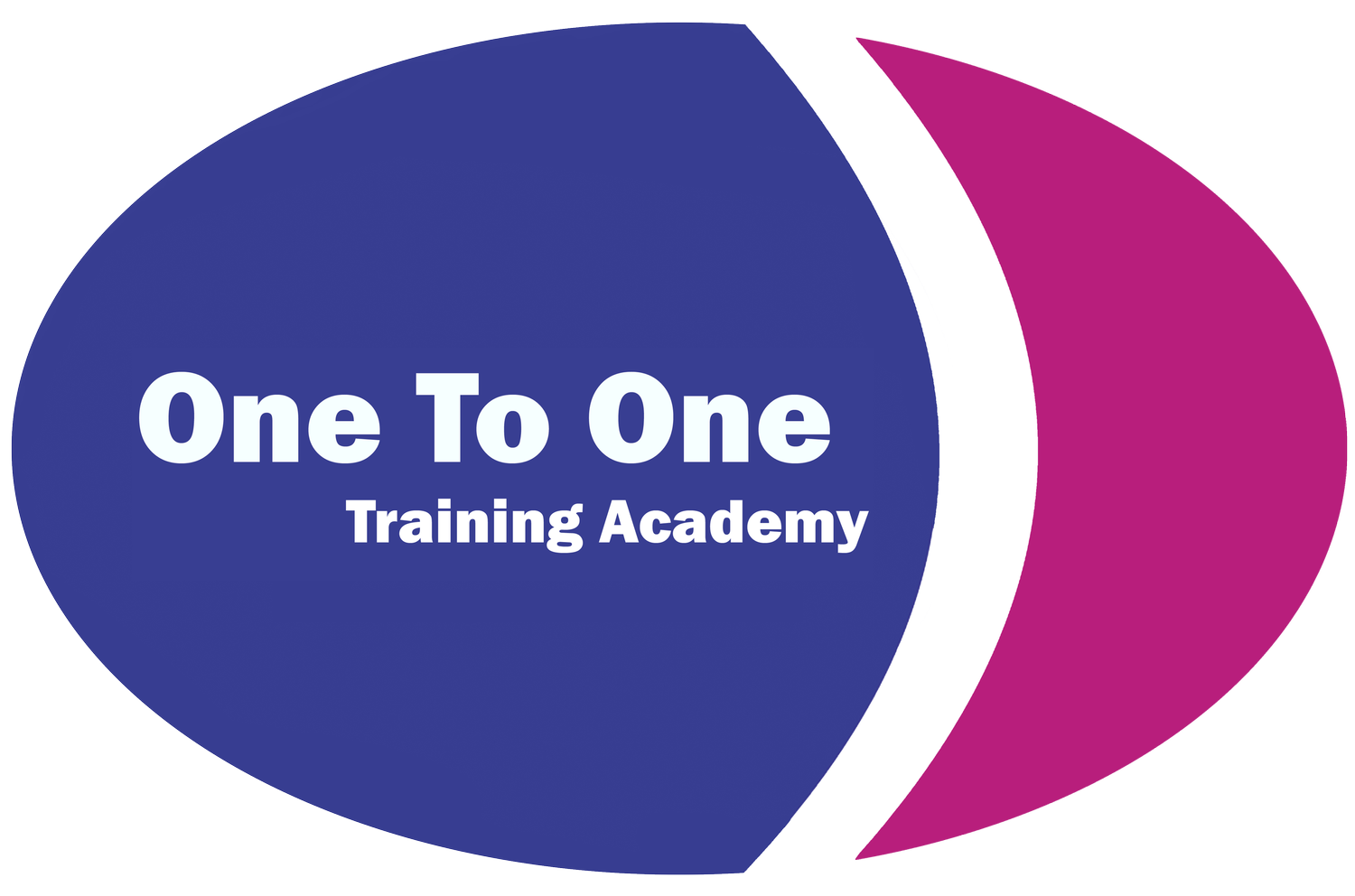 One to One Training Academy