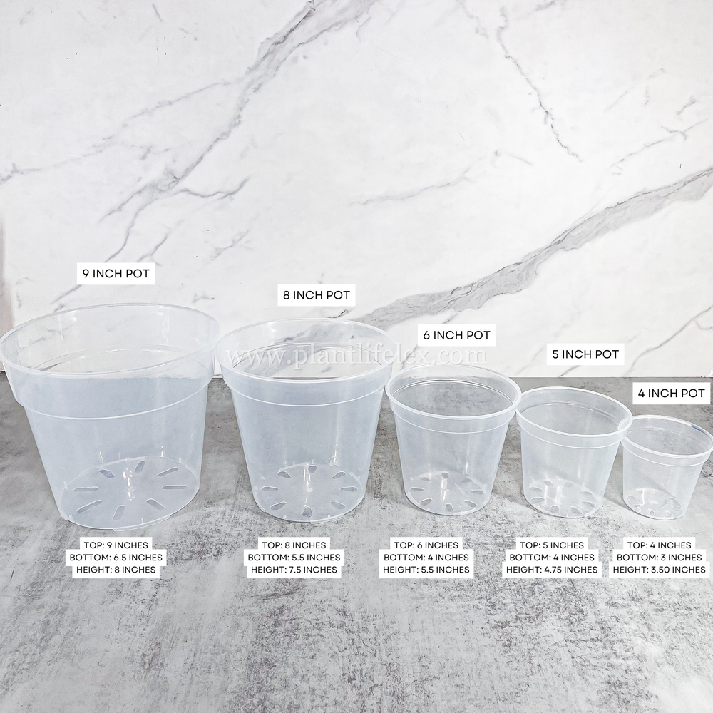 Clear Round Plant Pots | Sizes: 4", 5", 6", 8", 9"