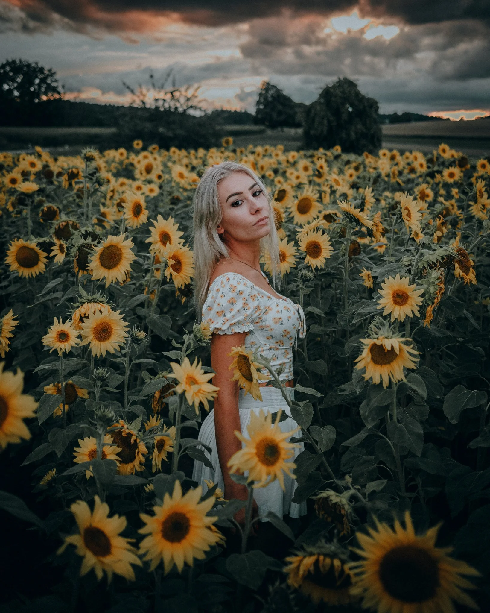 Portraitshooting im Sonnenblumenfeld