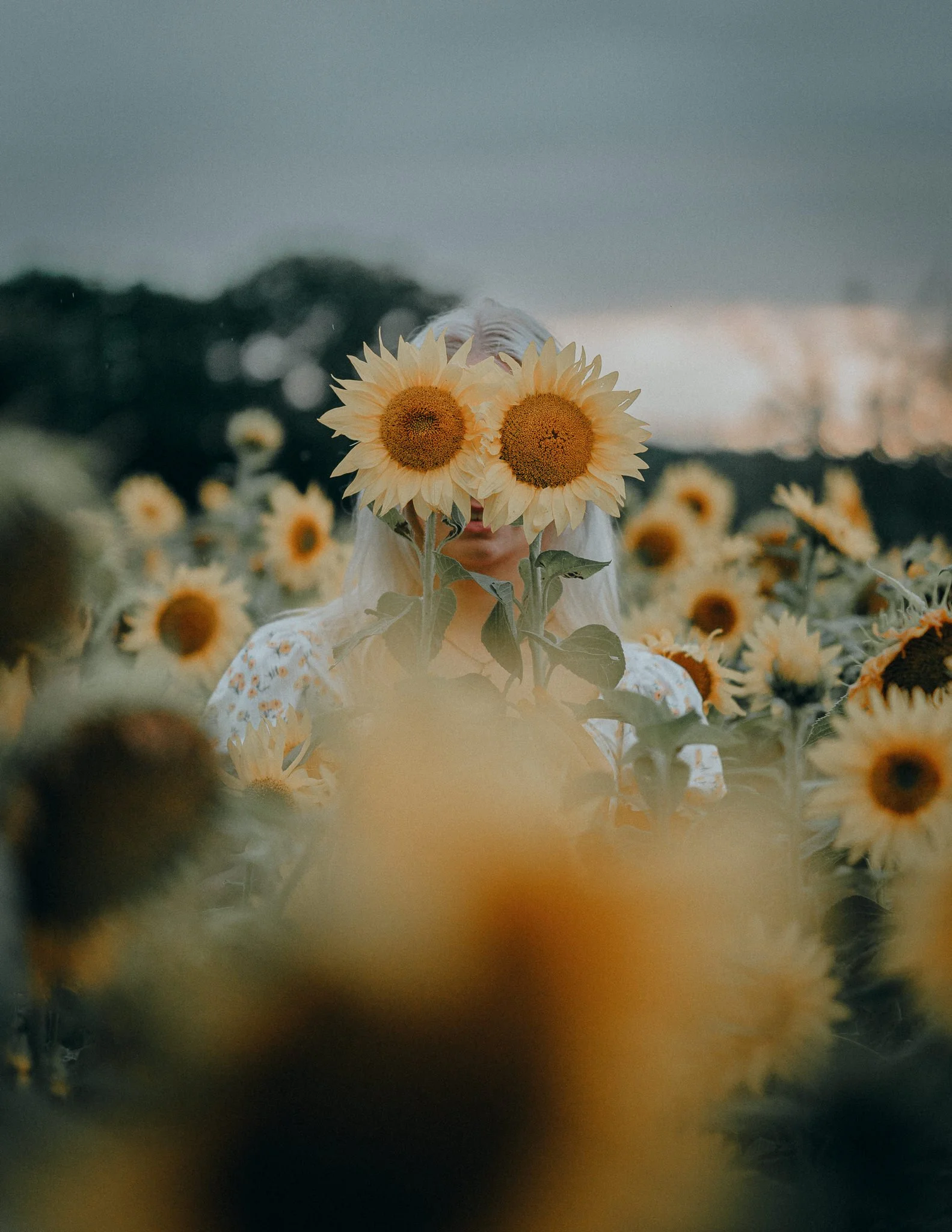 Frau steht in einem Sonnenblumenfeld, deren Blumen das Gesicht verdecken.