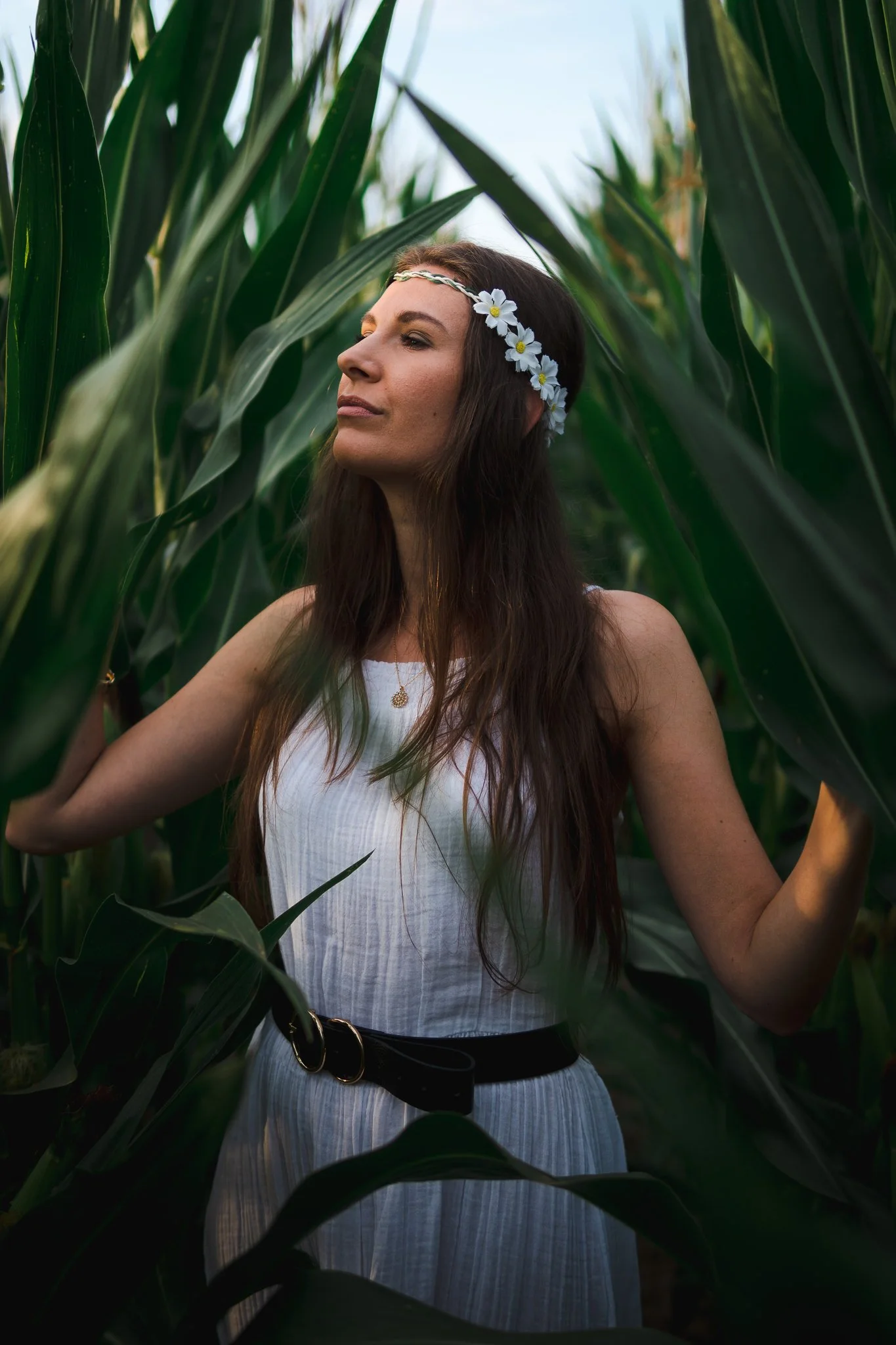 Eine Frau mit langen braunen Haaren trägt ein weißes Kleid, einen schwarzen Gürtel und eine Blumenkrone mit Gänseblümchen, steht zwischen hohen Maispflanzen und schaut nach links.