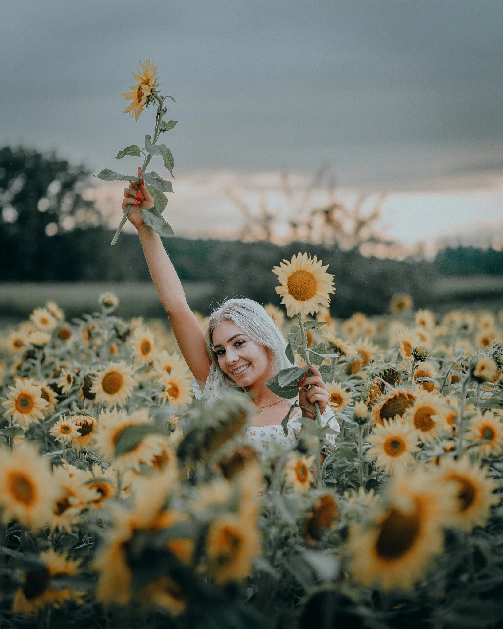Junge Frau mit blonden Haaren, die in einem Sonnenblumenfeld steht, eine Sonnenblume hoch in die Luft hält und lächelt, bei Sonnenuntergang