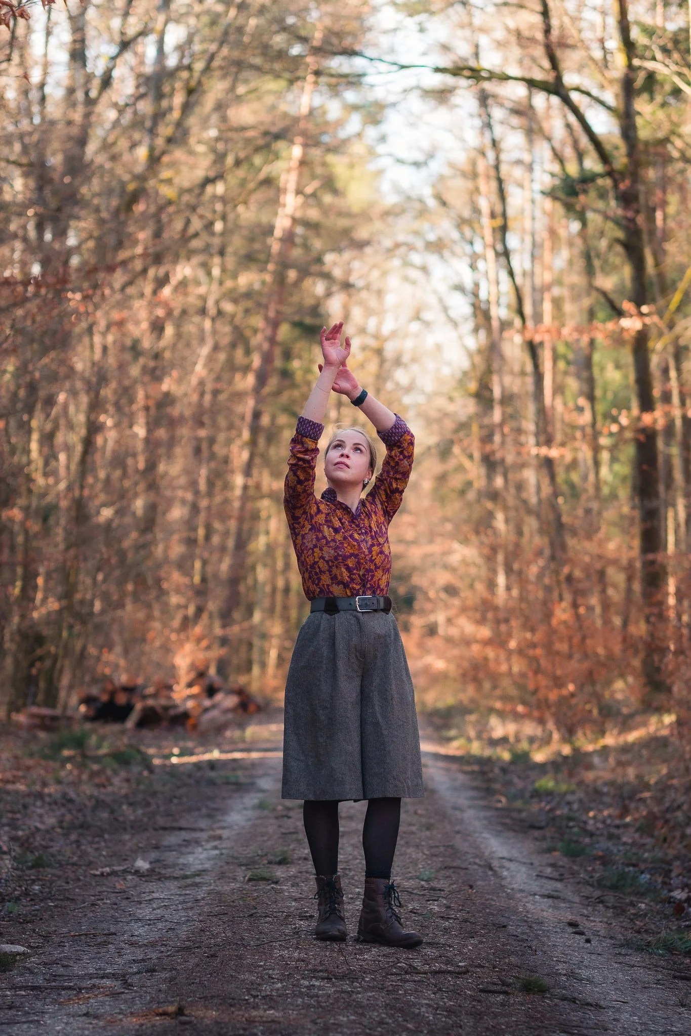 Herbstfarben im Wald