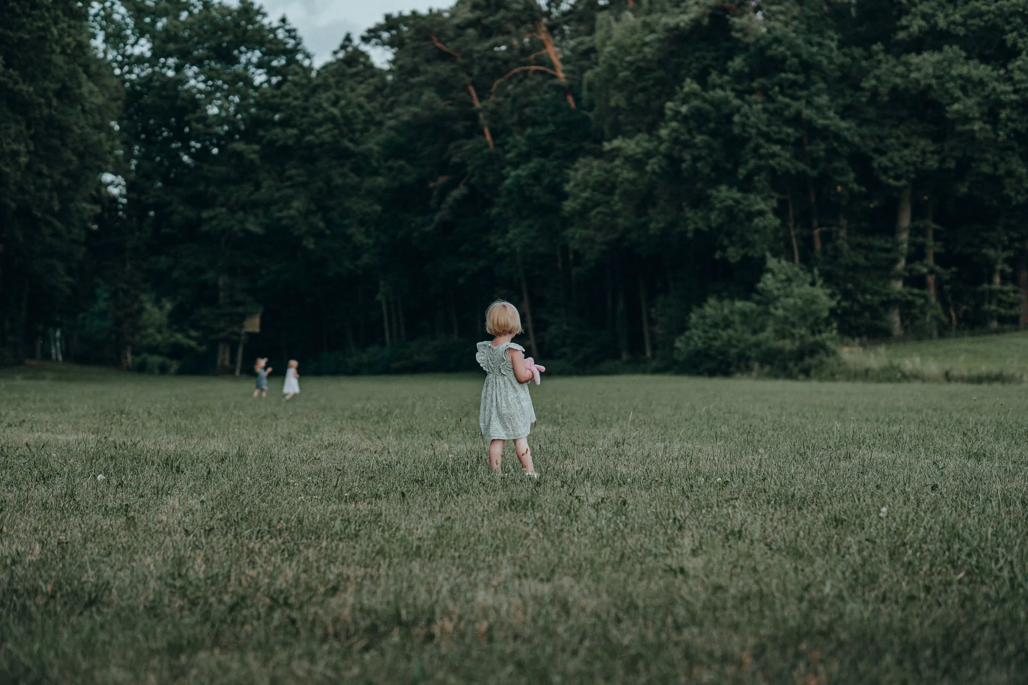 Ein kleines Mädchen mit blondem Haar hält ein Spielzeug und schaut auf einen offenen, grünen Feld mit Bäumen im Hintergrund, während es auf einer Wiese steht.
