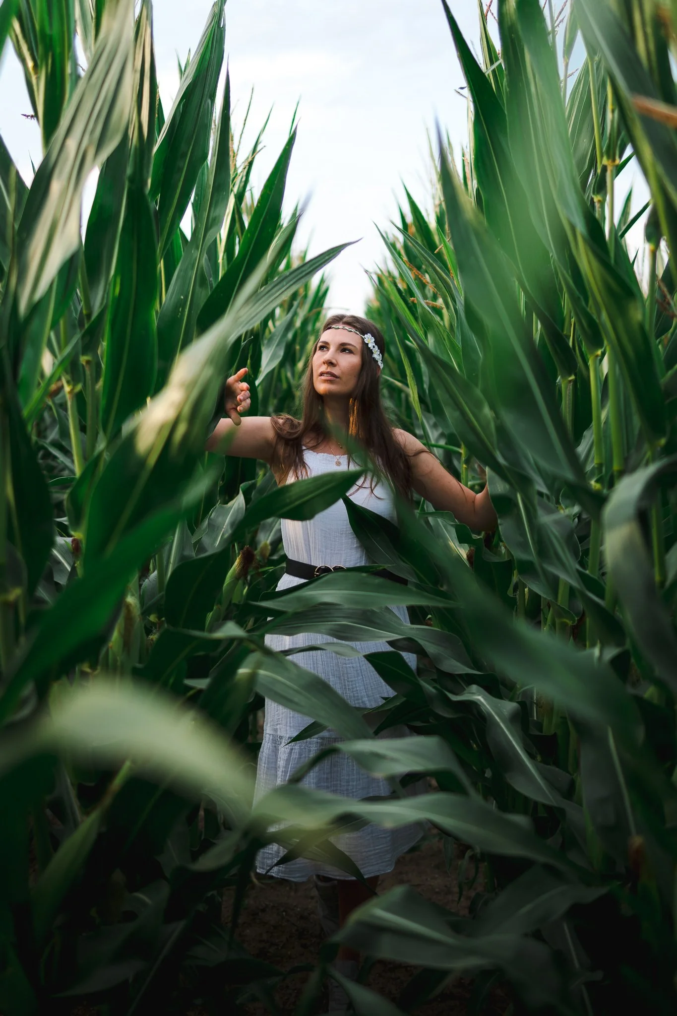 Portraits im Mais- & Sonnenblumenfeld