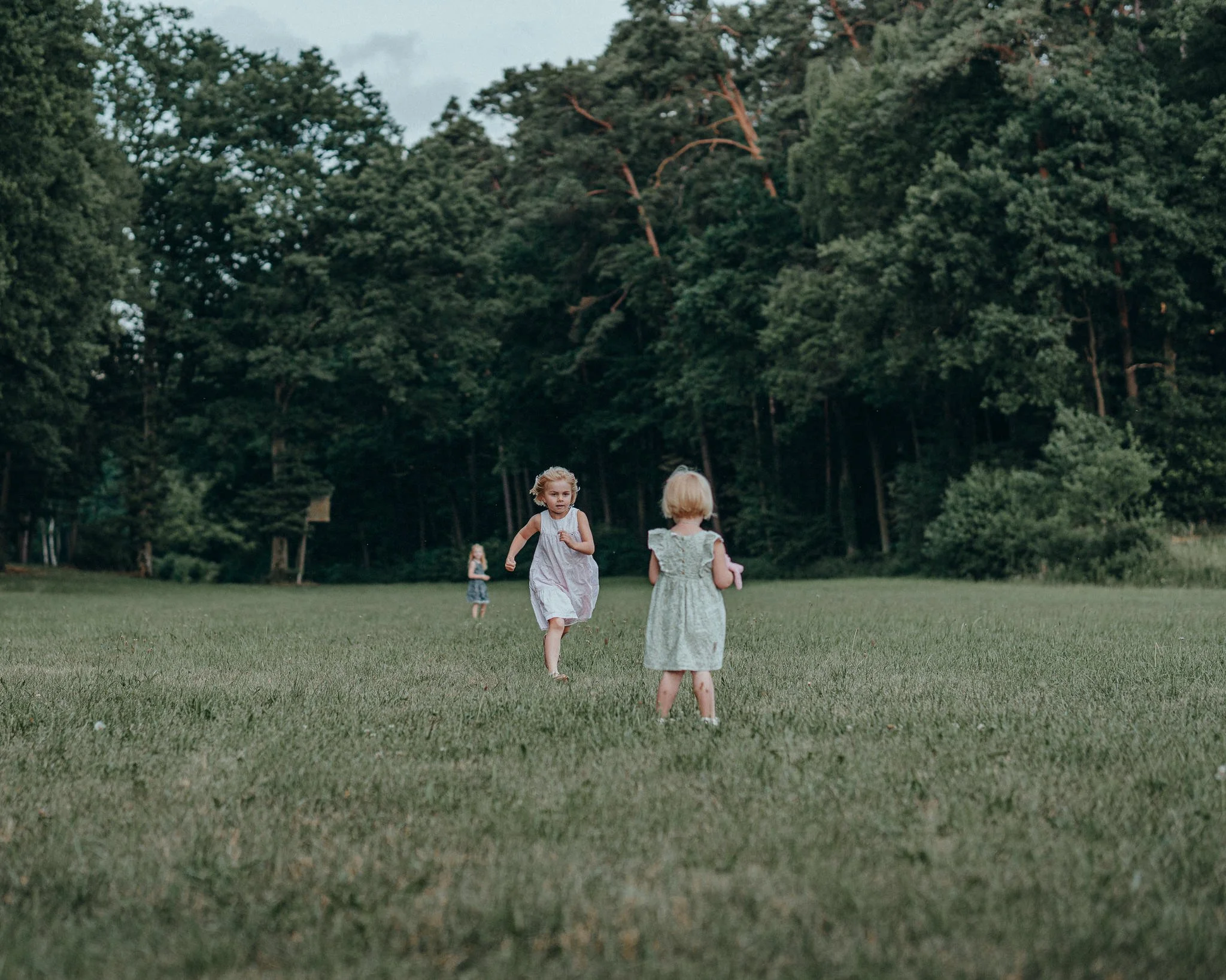 Drei junge Mädchen spielen auf einer grünen Wiese vor einem dichten Wald.