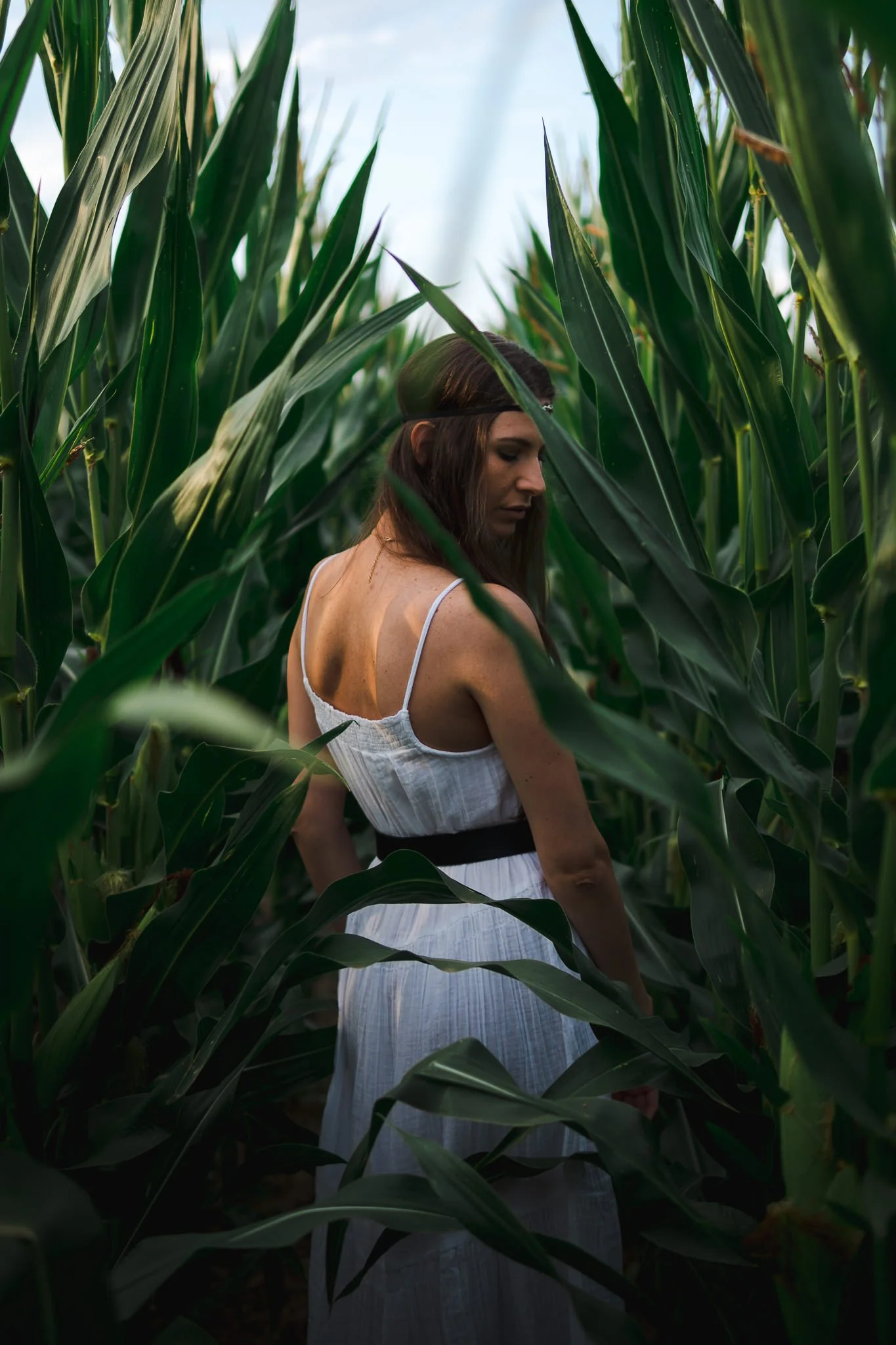 Eine Frau in einem weißen Kleid steht zwischen hohen grünen Maispflanzen, Blick nach unten gerichtet, in einer natürlichen Umgebung mit bewölktem Himmel.