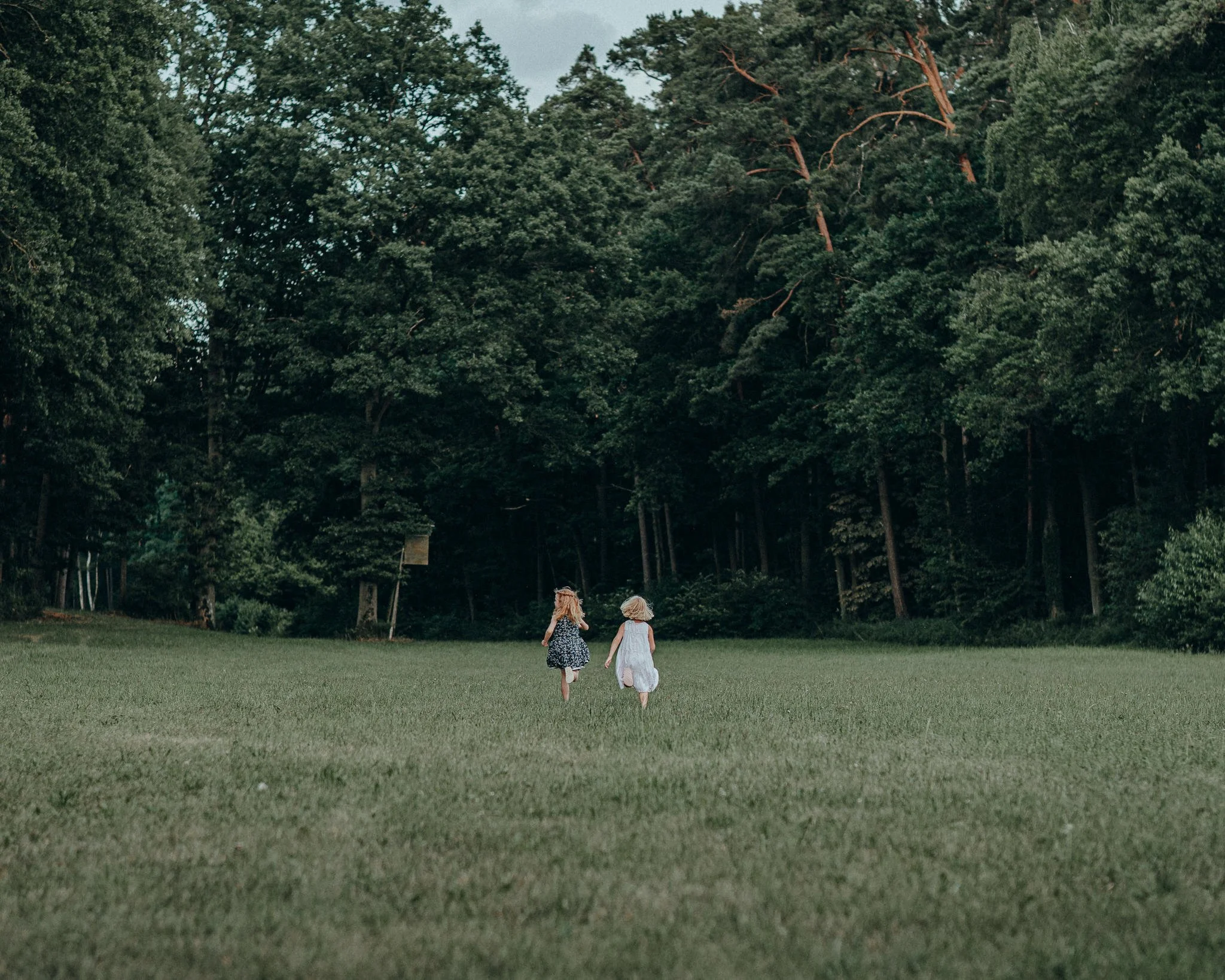 Zwei junge Mädchen laufen in einem offenen, grünen Feld in einem Wald.