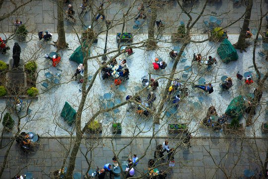 People cleaning trash from a flooded street with tree branches overhead.