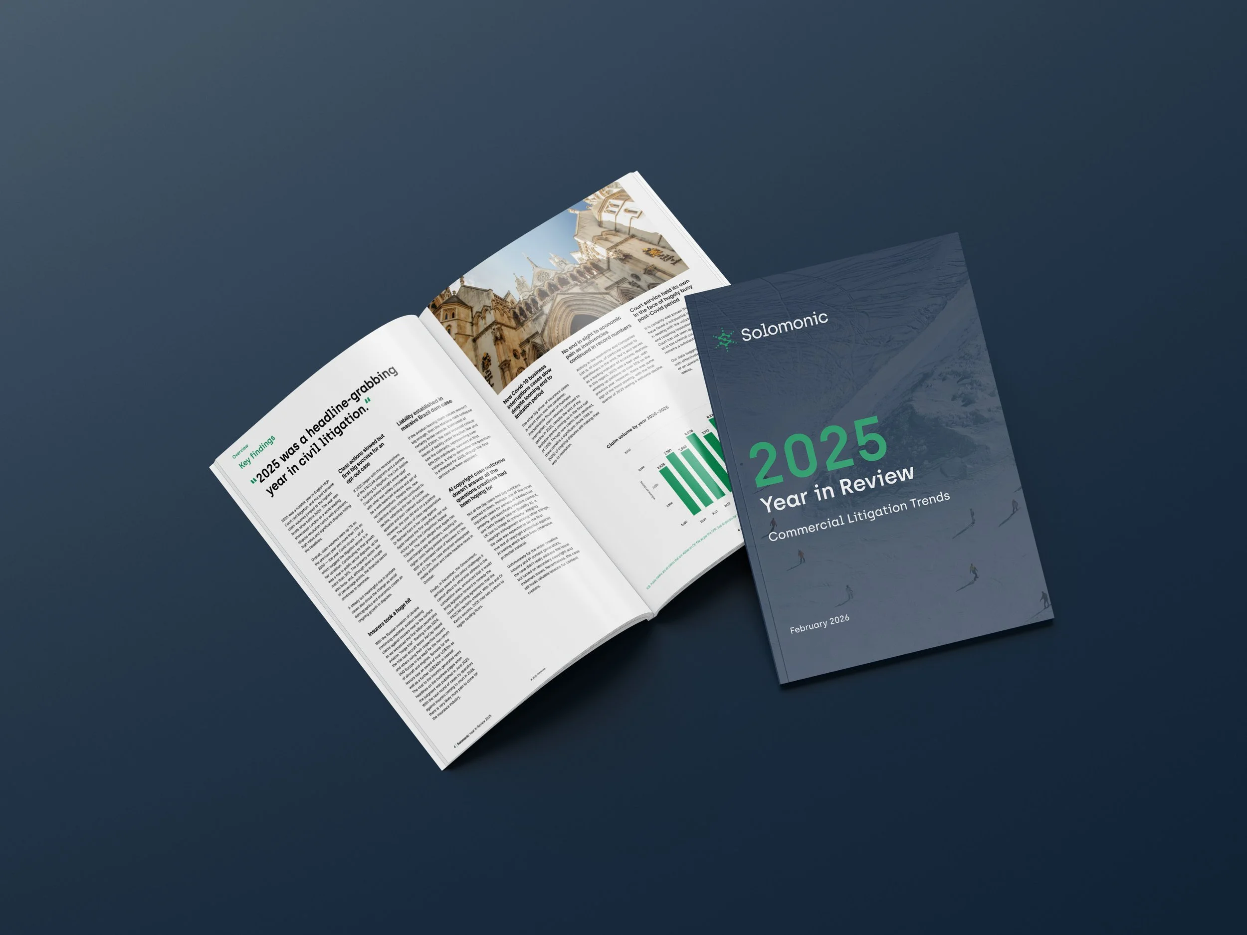 Solomonic Year in Review 2025: A headline-grabbing year in civil litigation