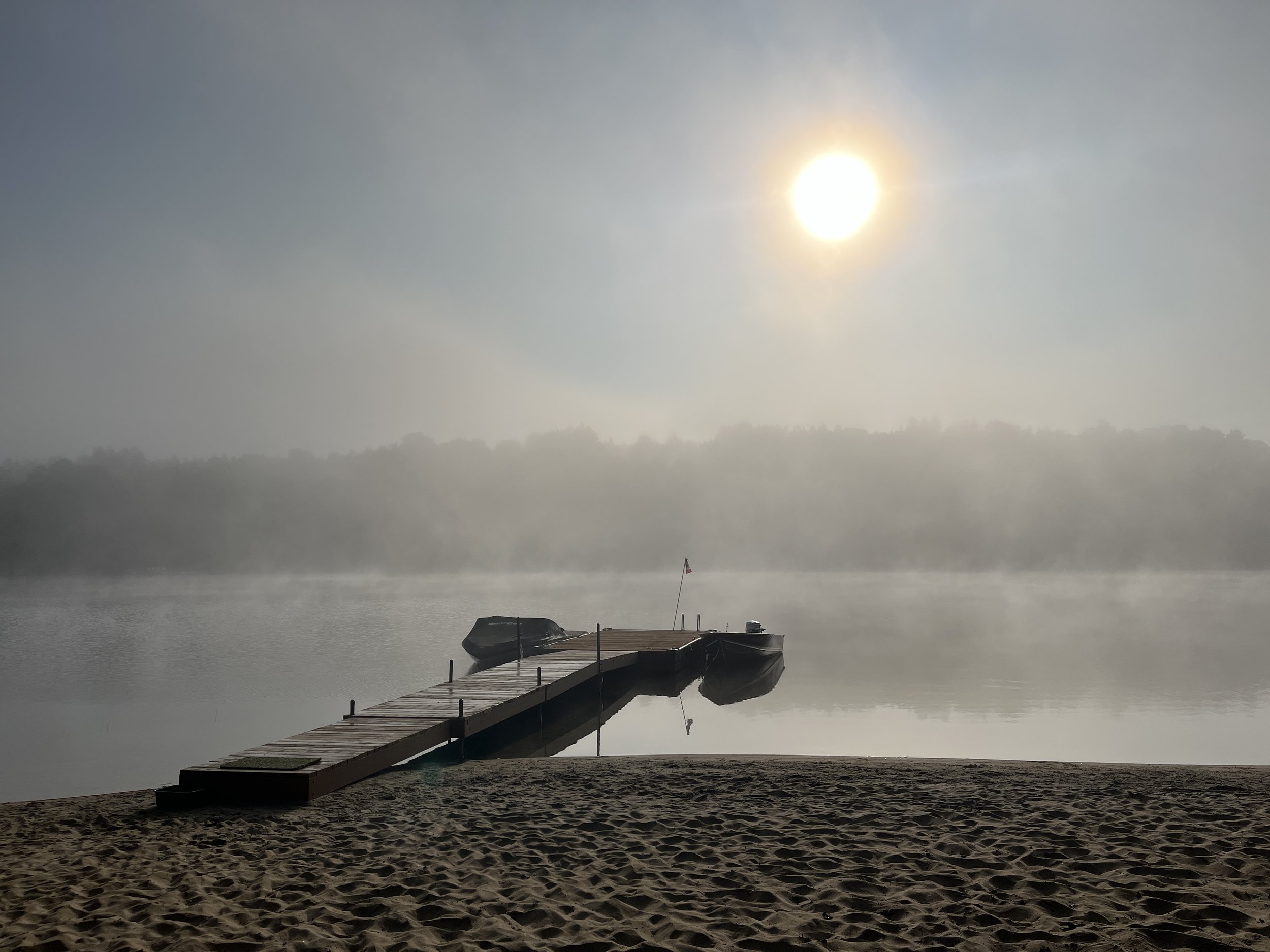 Morning Fog by Emily Lewis
