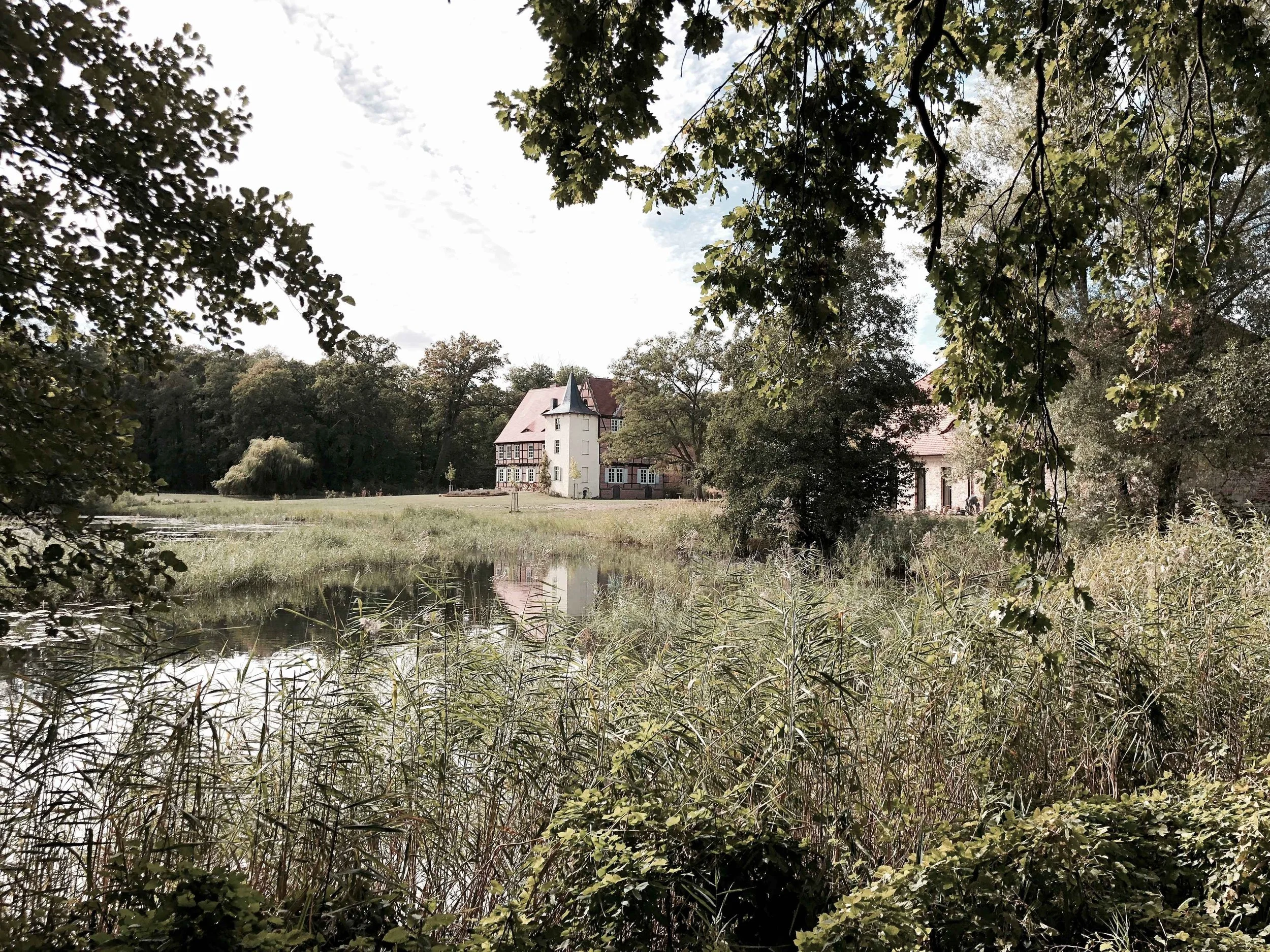 Blick durch dichtes Grün und Schilf über einen Teich auf das historische Gutshaus und das Brauhaus Briest in weiterer Entfernung.