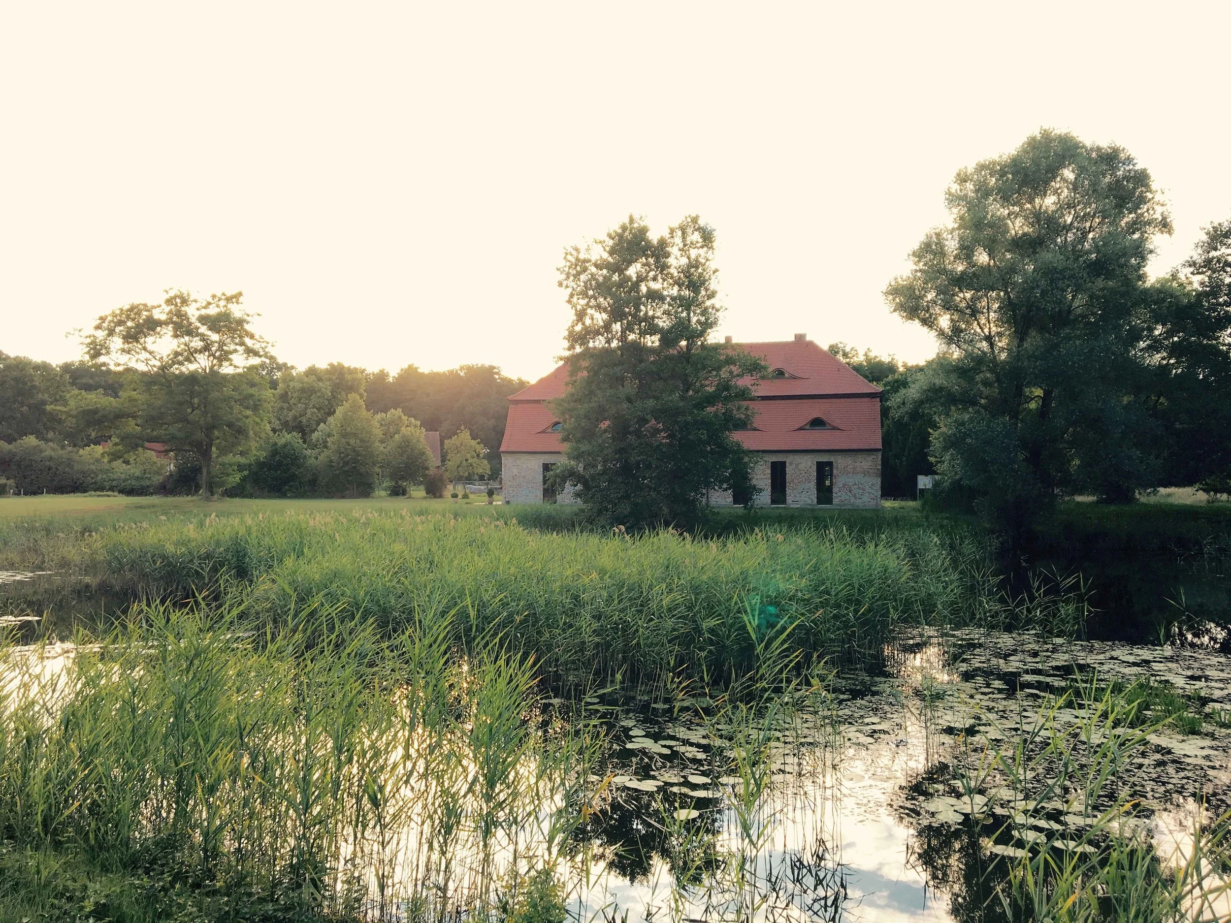 Außenansicht des sanierten, denkmalgeschützten Brauhauses Briest mit rotem Ziegeldach, vom gegenüberliegenden Teichufer aus gesehen, umgeben von Schilf und Bäumen im Abendlicht.