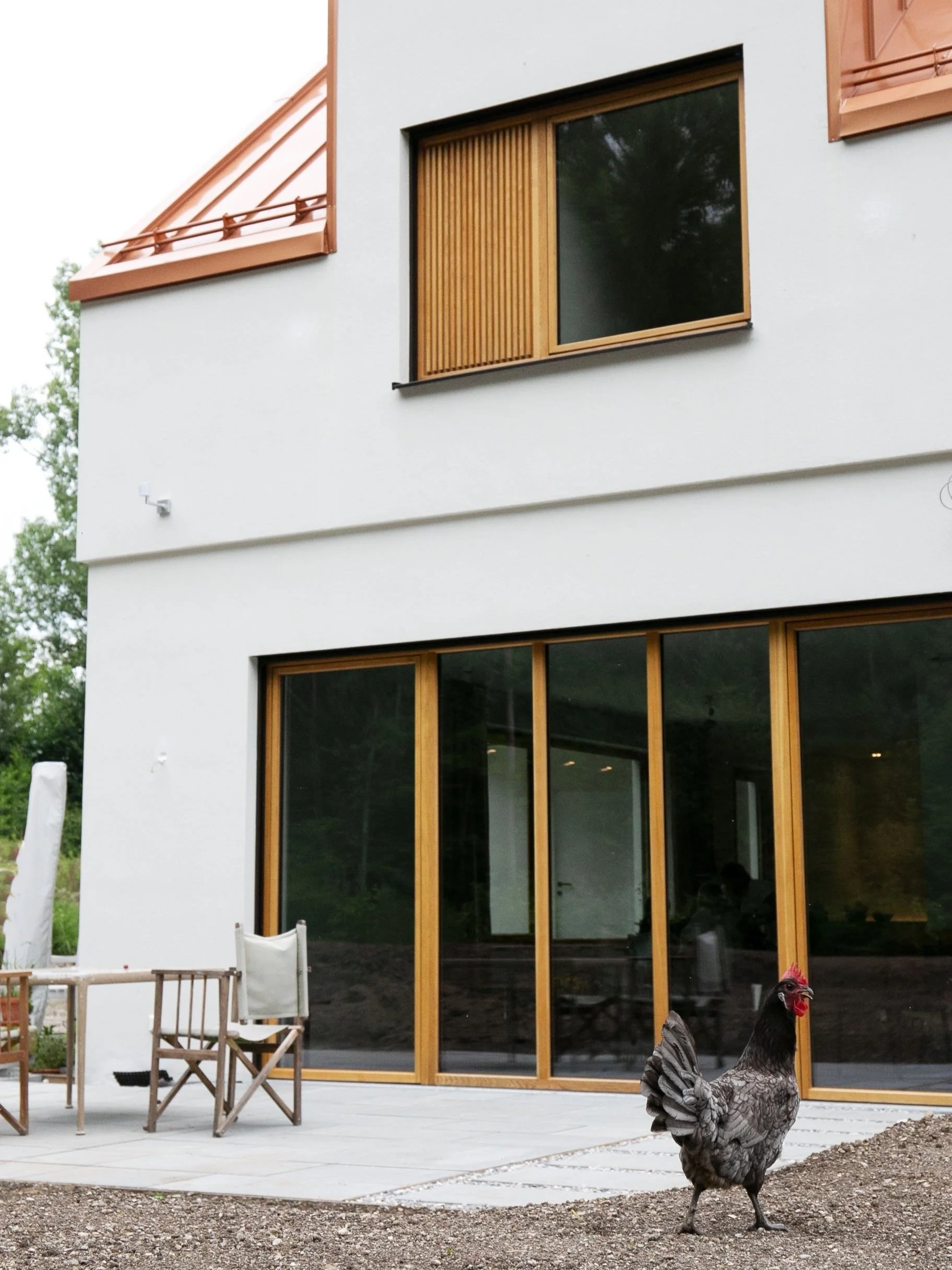 Große Fensteröffungen mit Eichenfenstern bringen viel Licht in den Innenraum des Zweifamilienhauses.