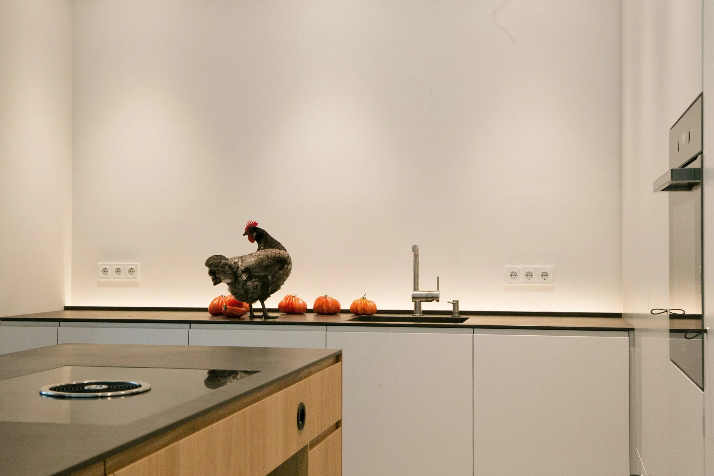 moderne minimalistisch Küche mit Natursteinarbeitsfläche in einem Einfamilienhaus in Herrsching am Ammersee.