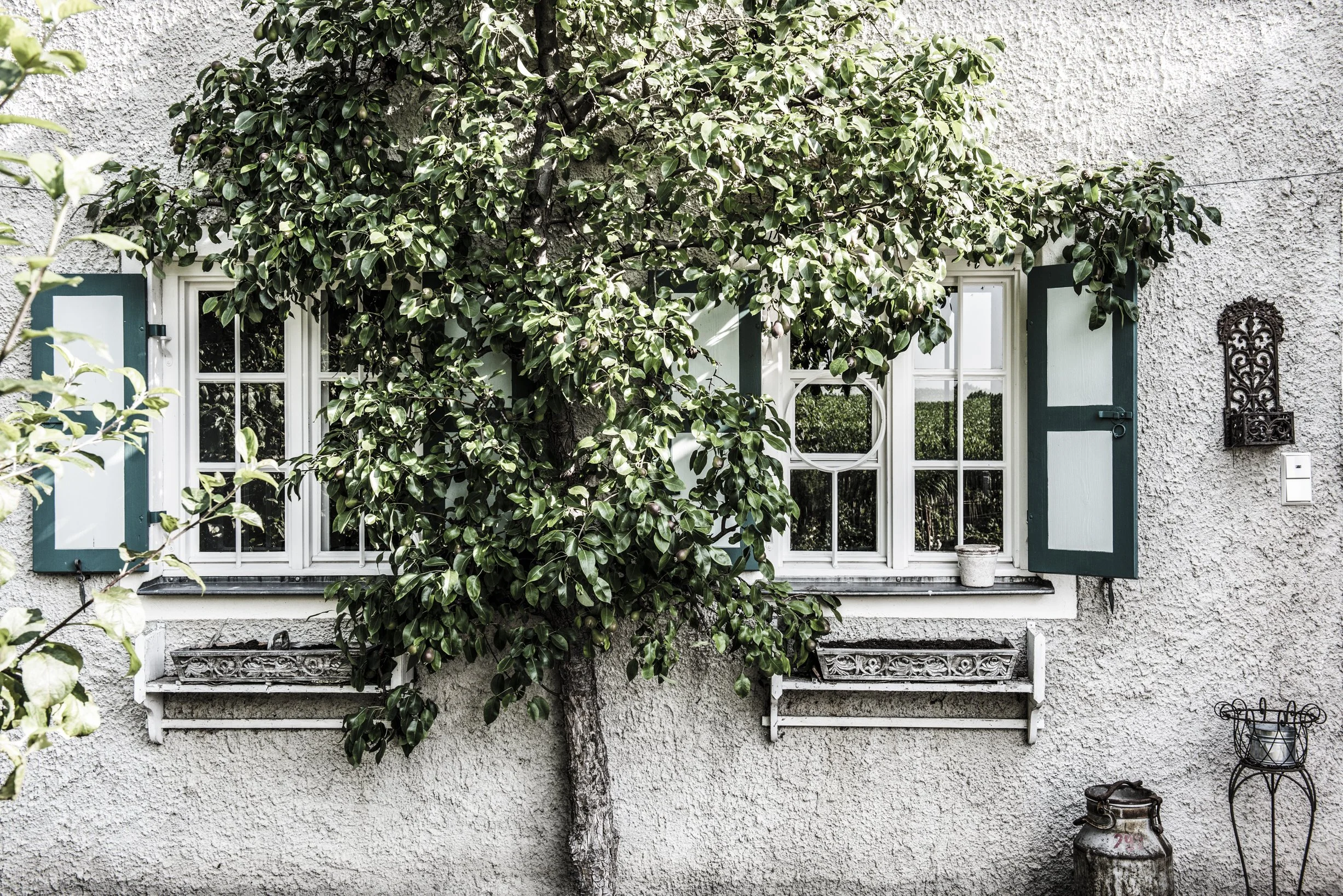 Die historischen Fenster wurden wieder hergestellt und dem Farbkonzept angepasst