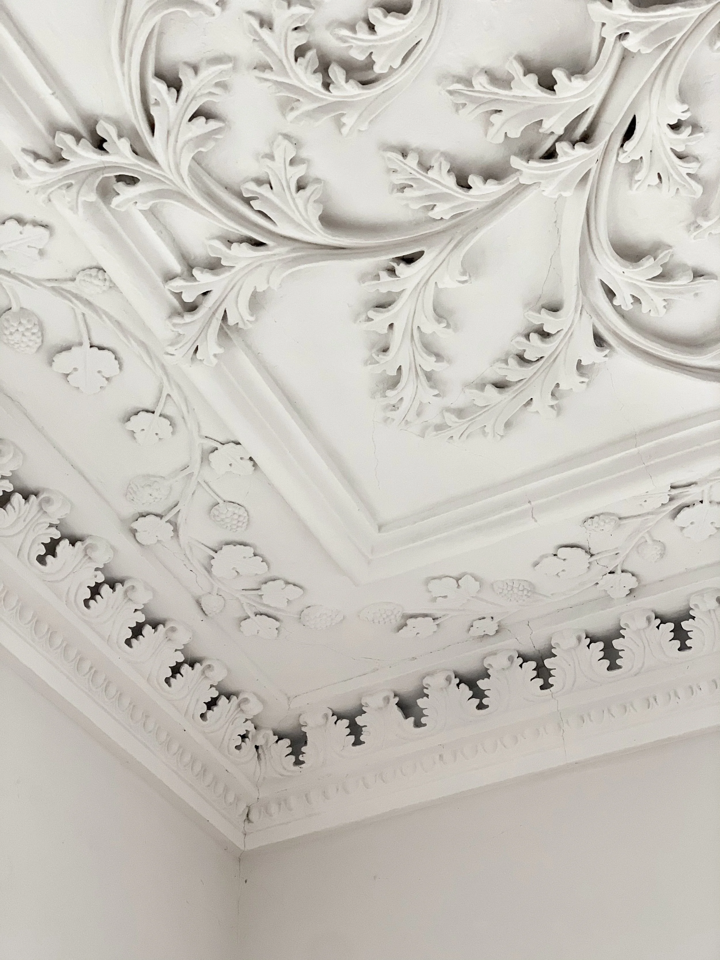 Detailaufnahme einer aufwendig restaurierten, weißen Stuckdecke im Schloss mit pflanzlichen Ornamenten, Blatttmotiven und profilierter Stuckleiste.