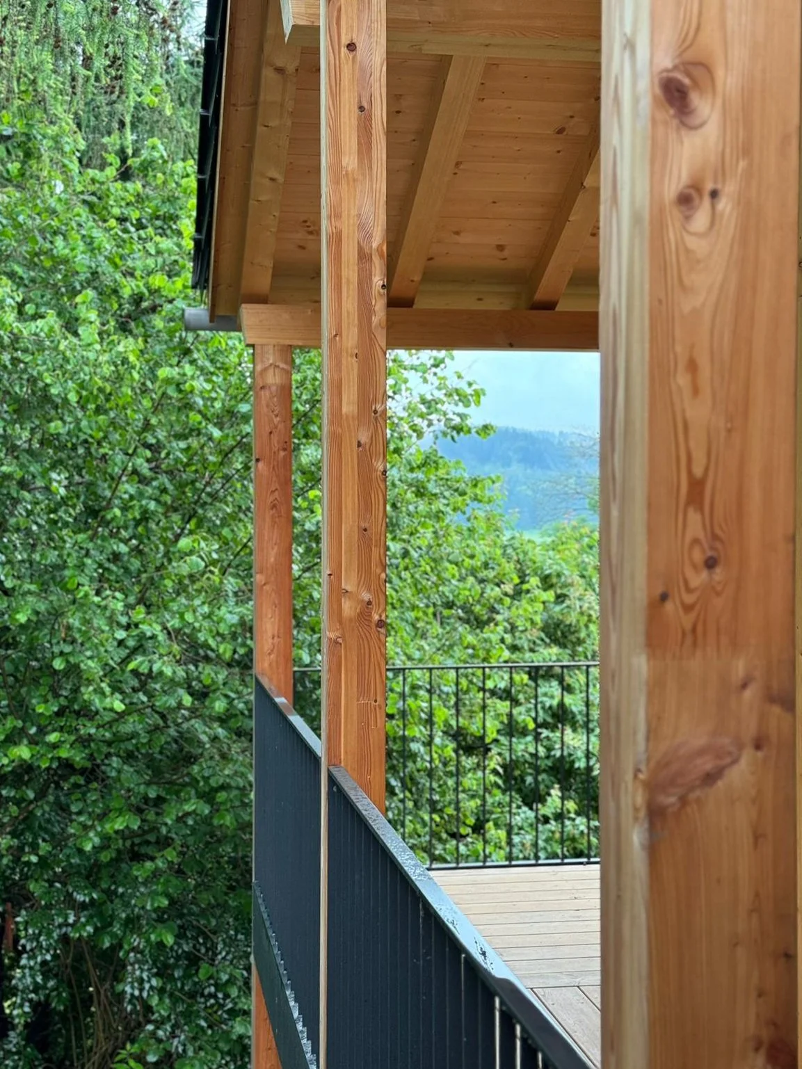Ansicht eines überdachten Laubengangs mit massiven Holzstützen, sichtbarem Sparrendach, schwarzem Stabschild-Geländer und Blick in die Natur.