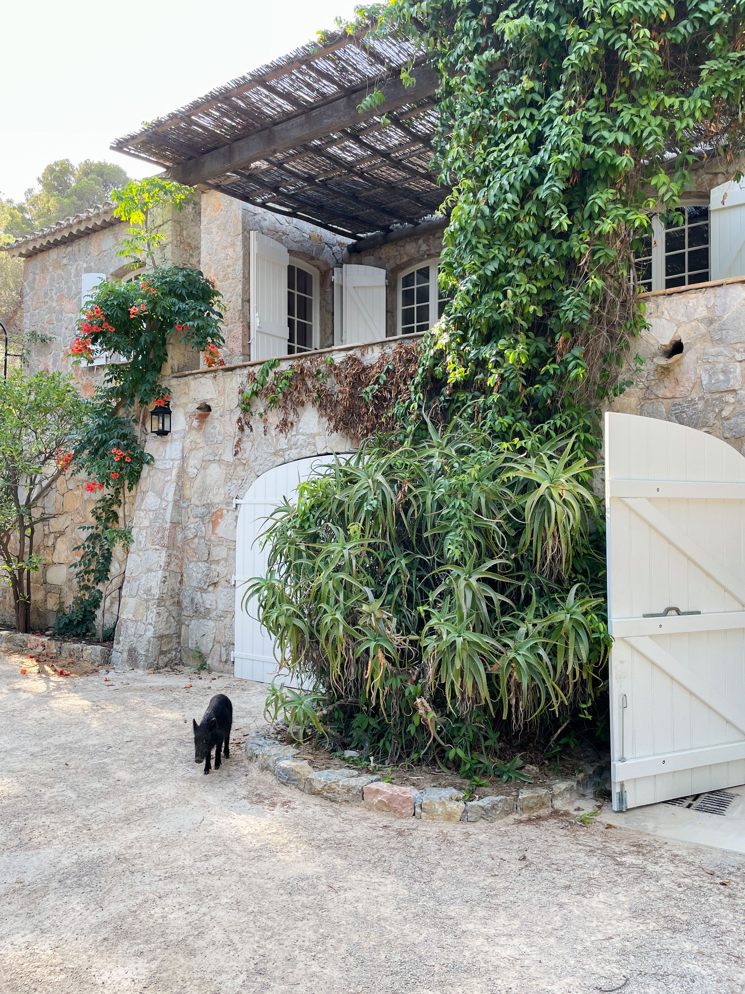 Hofansicht des mediterranen Anwesens mit bewachsener Natursteinmauer, Schatten-Pergola auf dem Balkon, üppiger Bepflanzung und weißem Gartentor.