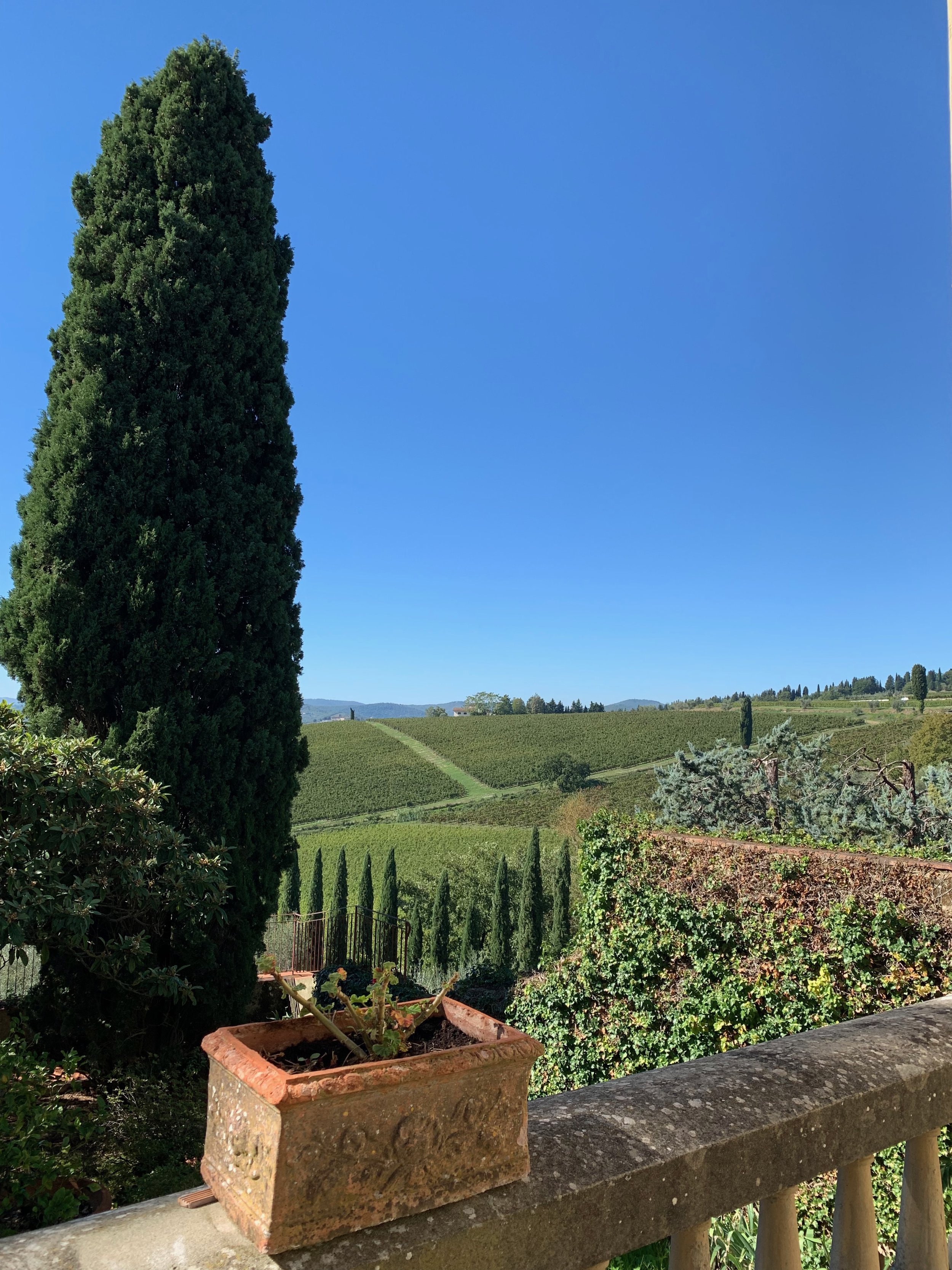 Travignoli Winery in Chianti Rufina (14).jpeg