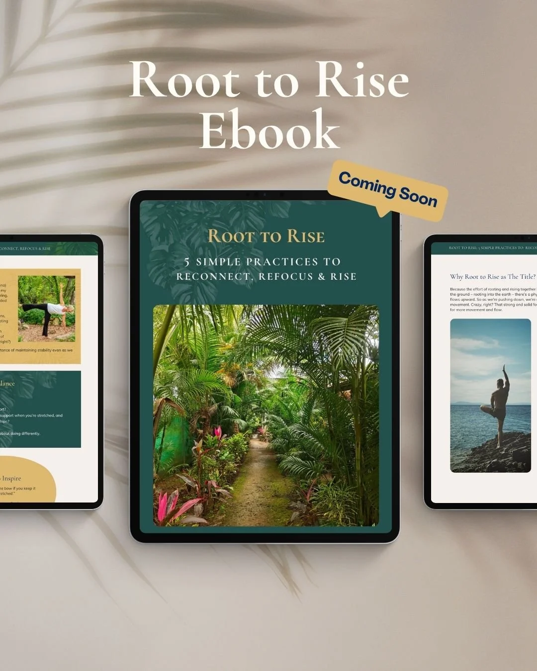 Root to Rise Ebook Coming Soon.jpg