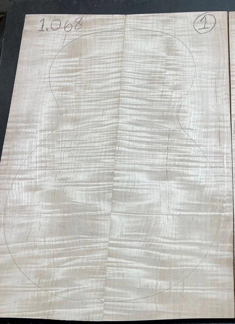 4A Flame Eastern  Maple HPCT 1