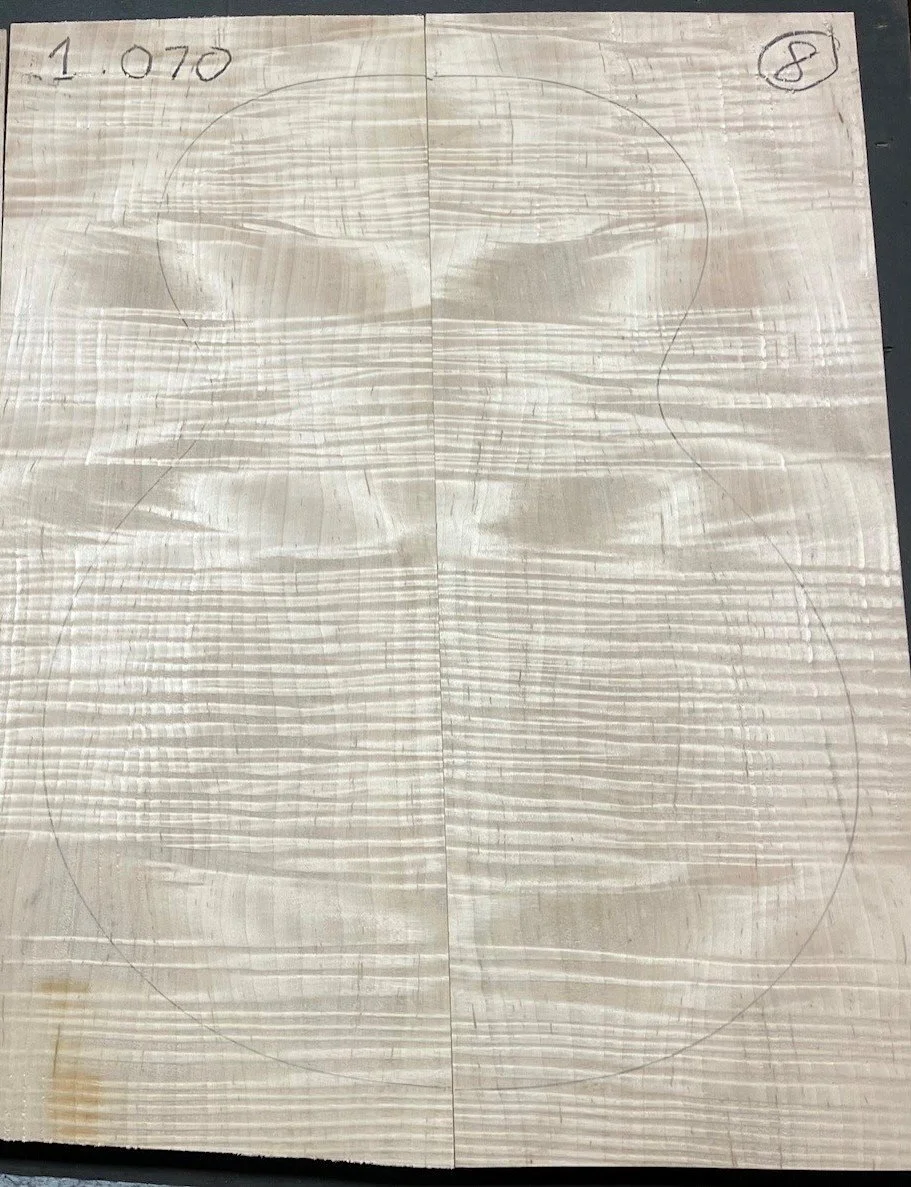 4A Flame Eastern  Maple HPCT 8 