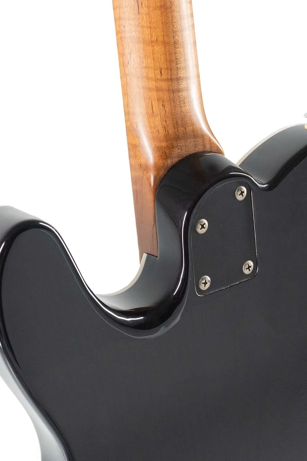 Oz-T Cab - 31454 - Trans Black Burst_0002_5.jpg