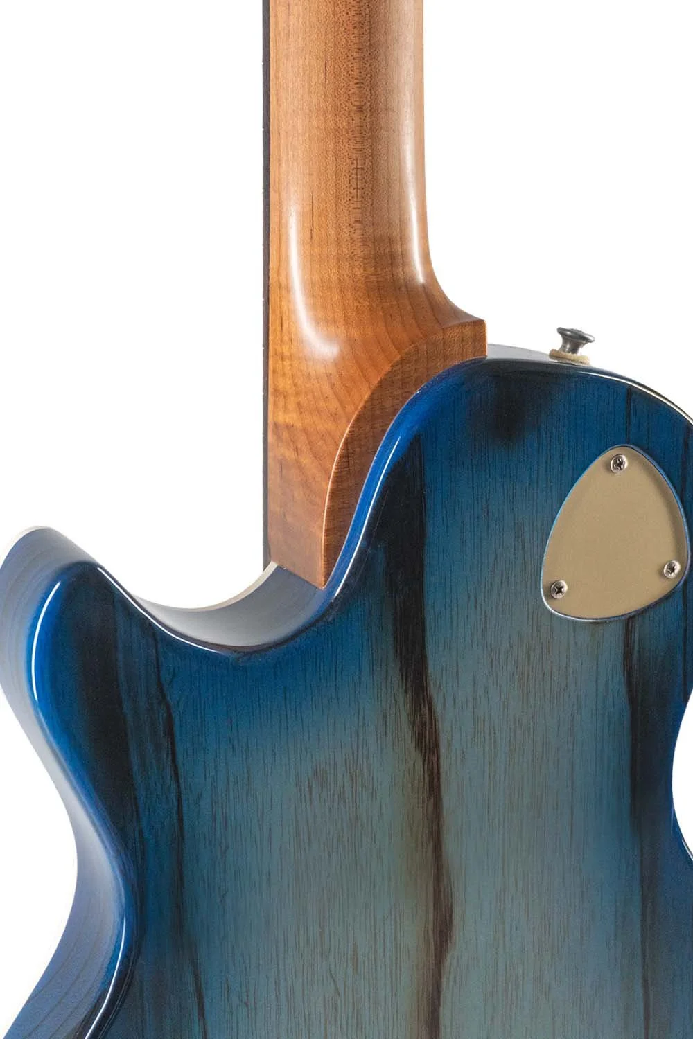 Macon V - 31496 - Blue Burst_0002_DSC01371 copy.jpg