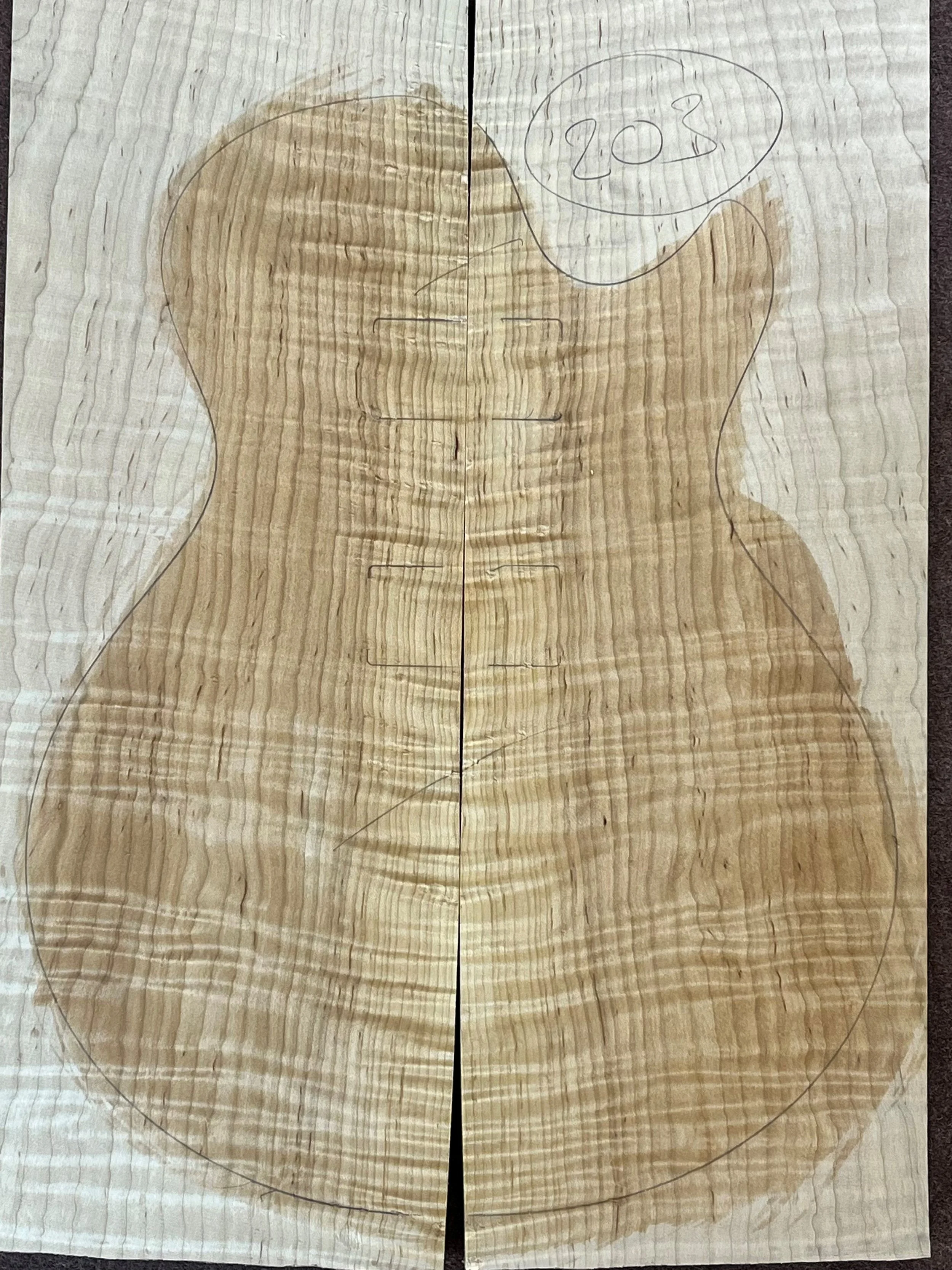 4A Eastern Red Maple - 203