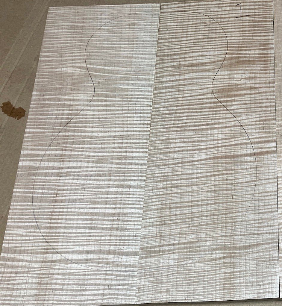 4A Flame Eastern Maple HPCT 1a