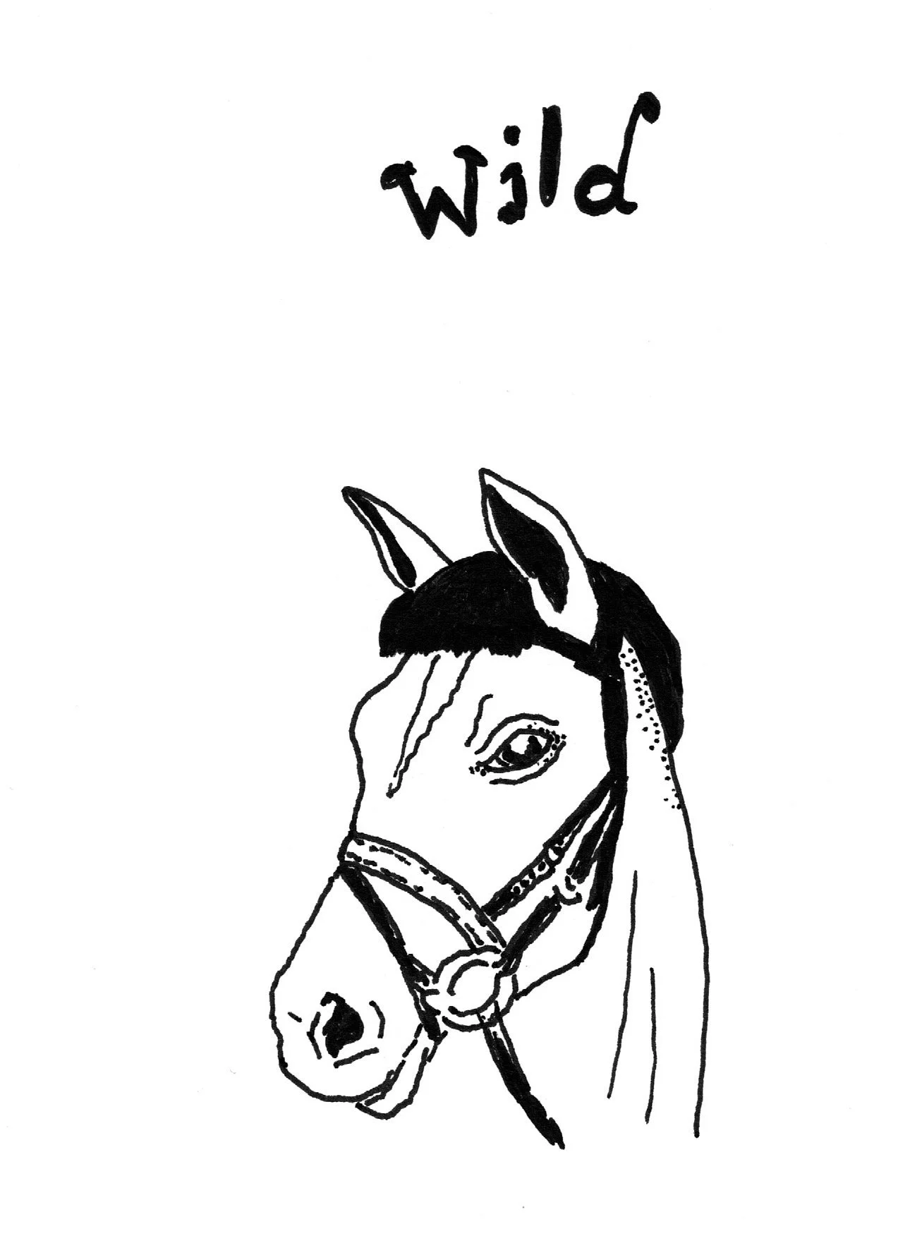 8 wild.jpeg