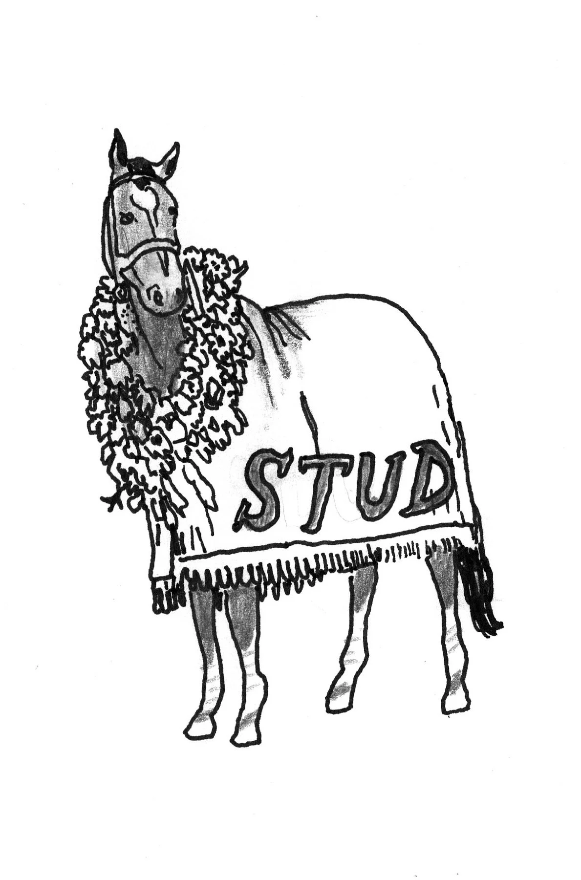Stud.jpeg