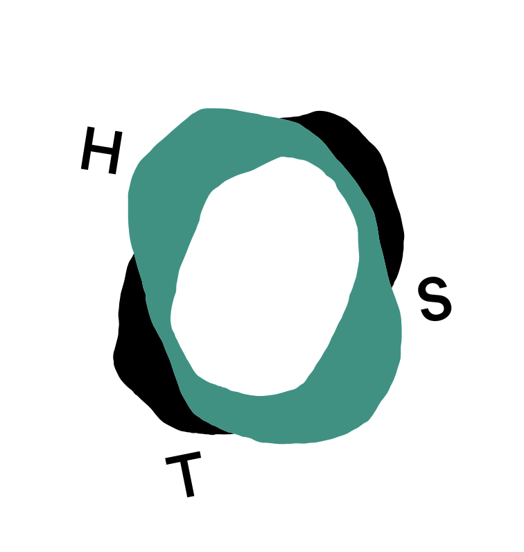 Bonavista Biennale: Host