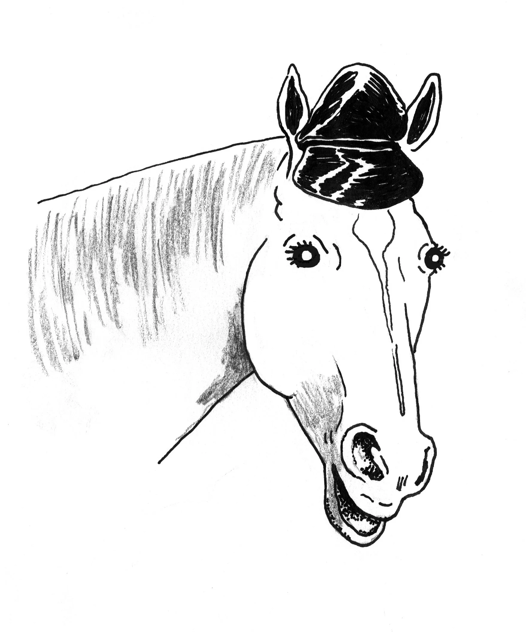 5 leather horse.jpg