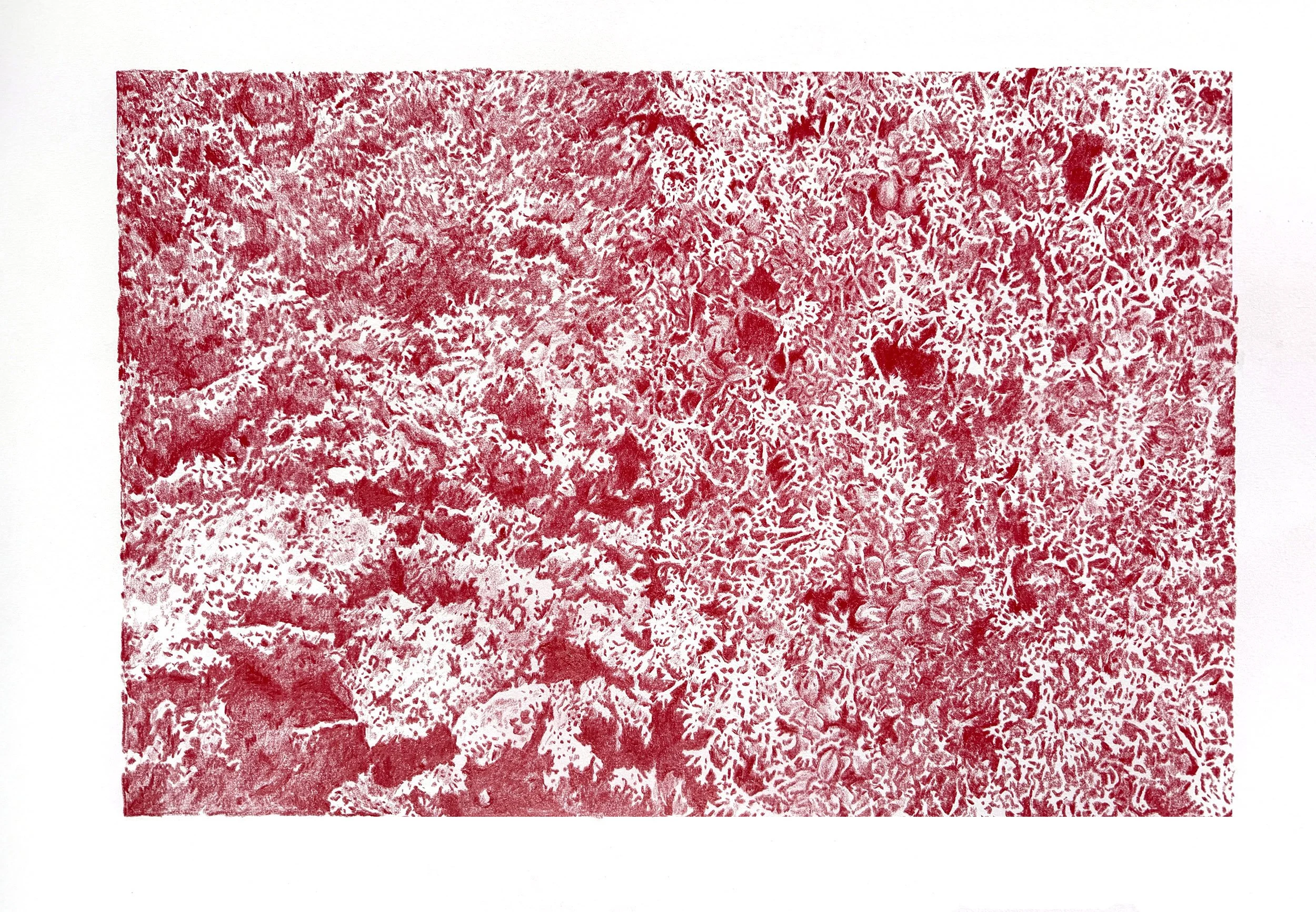 1. Atacma and Bonavista.jpg