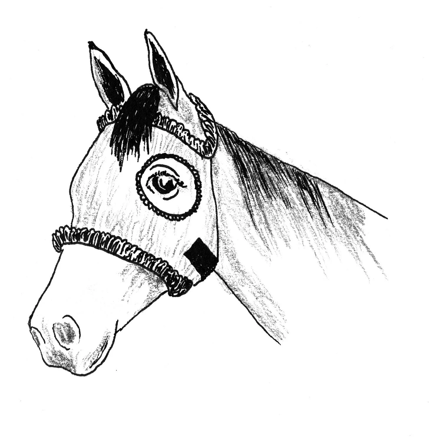 14 mask.jpeg