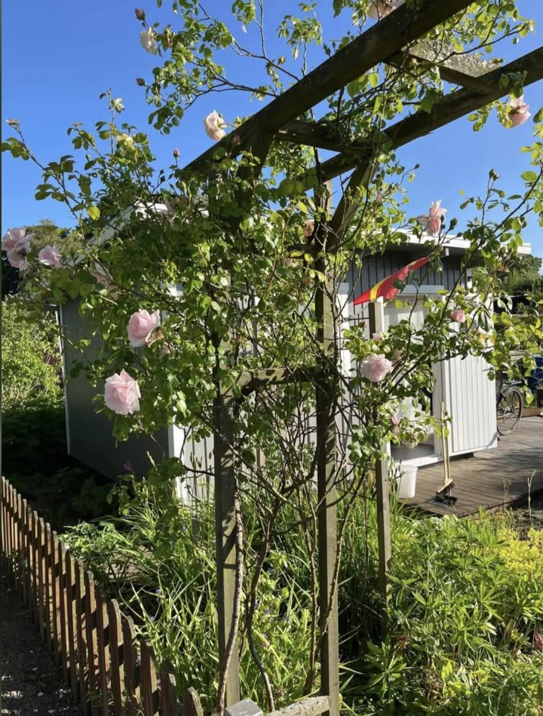 Skärmavbild 2026-03-26 kl. 12.25.23.png